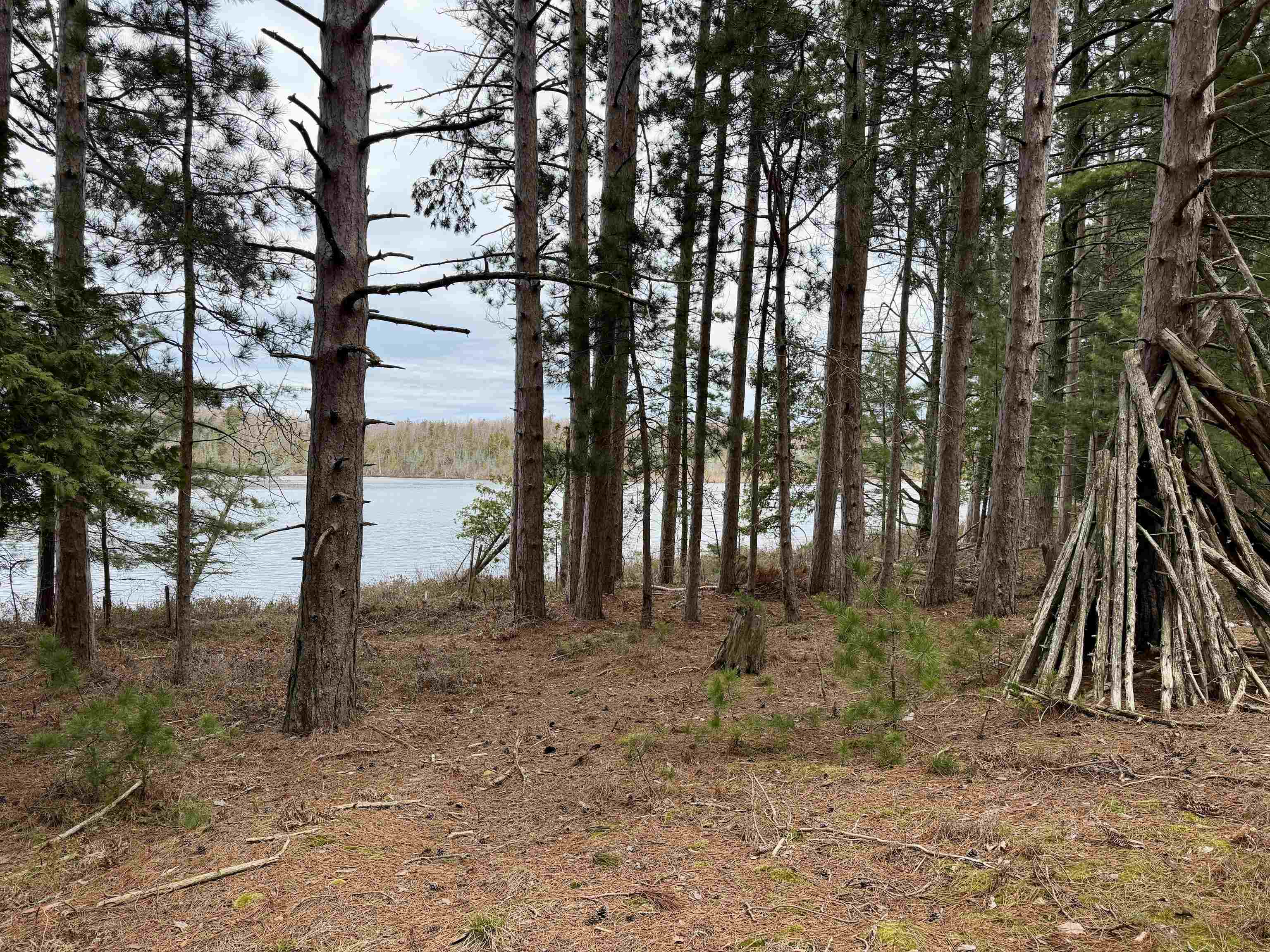 Tbd Whitetail Trail Property Photo 27