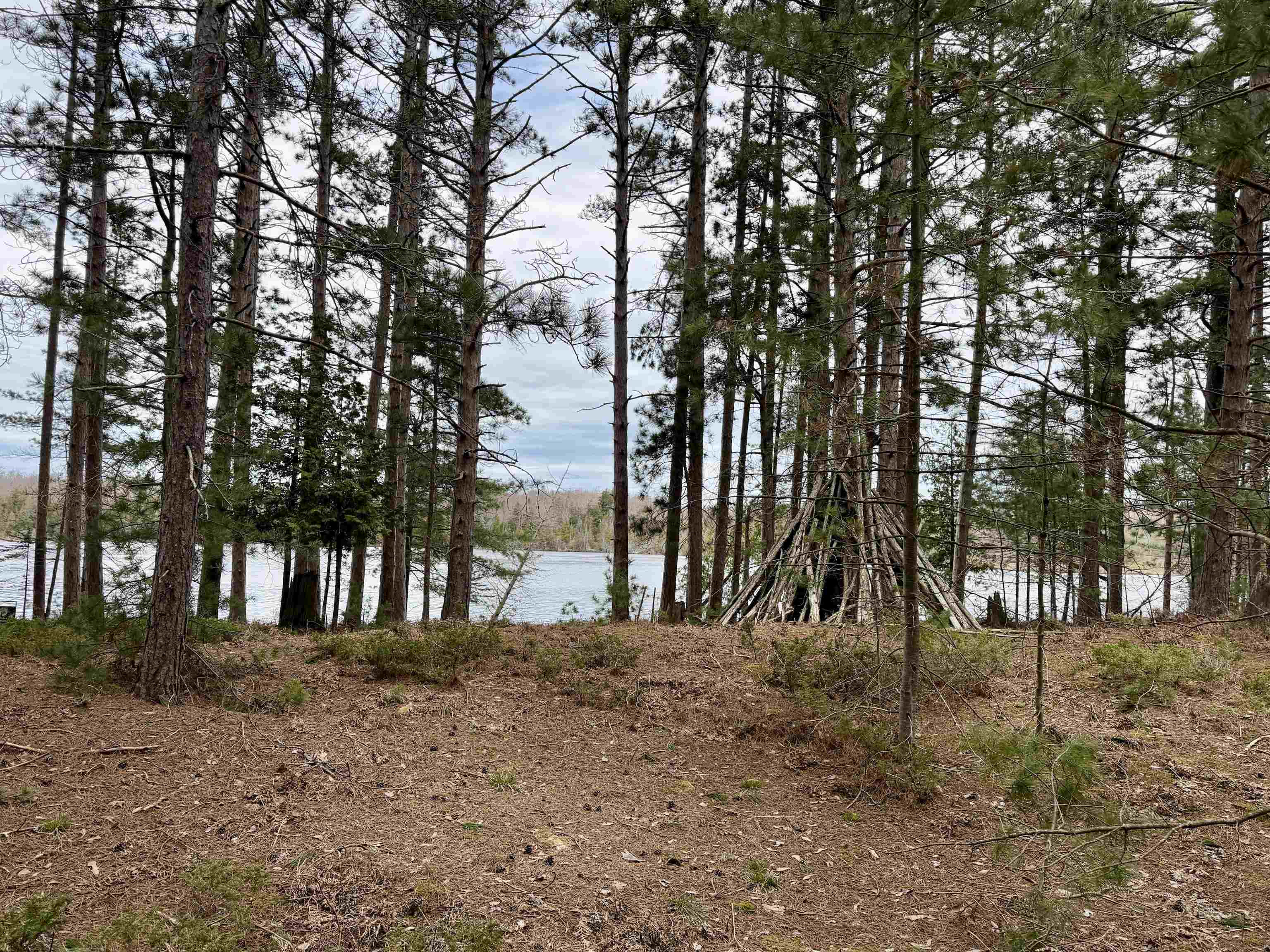 Tbd Whitetail Trail Property Photo 29
