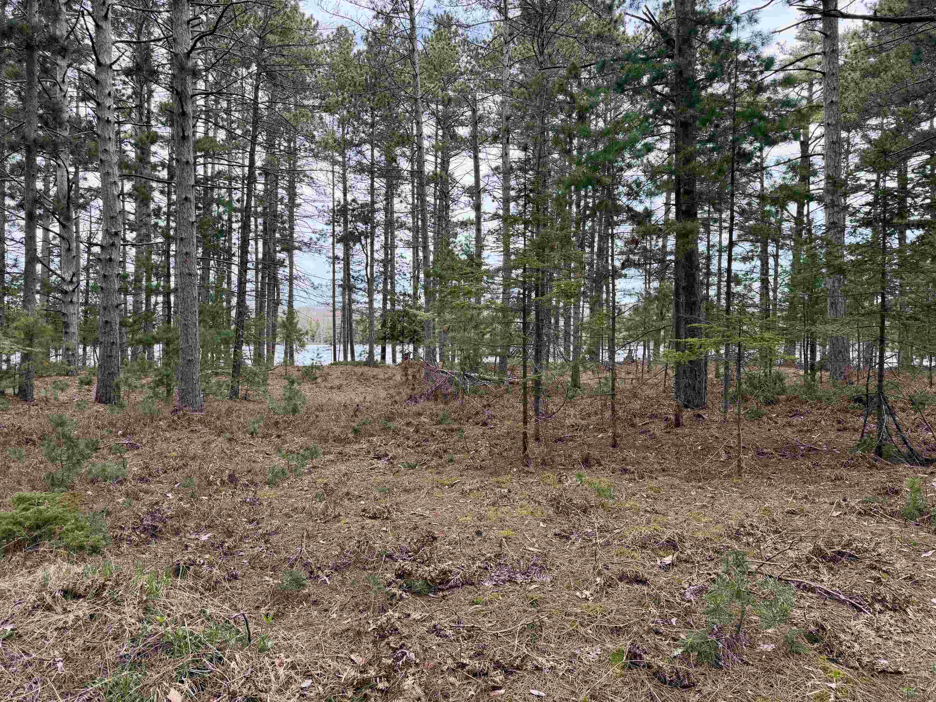 Tbd Whitetail Trail Property Photo 30