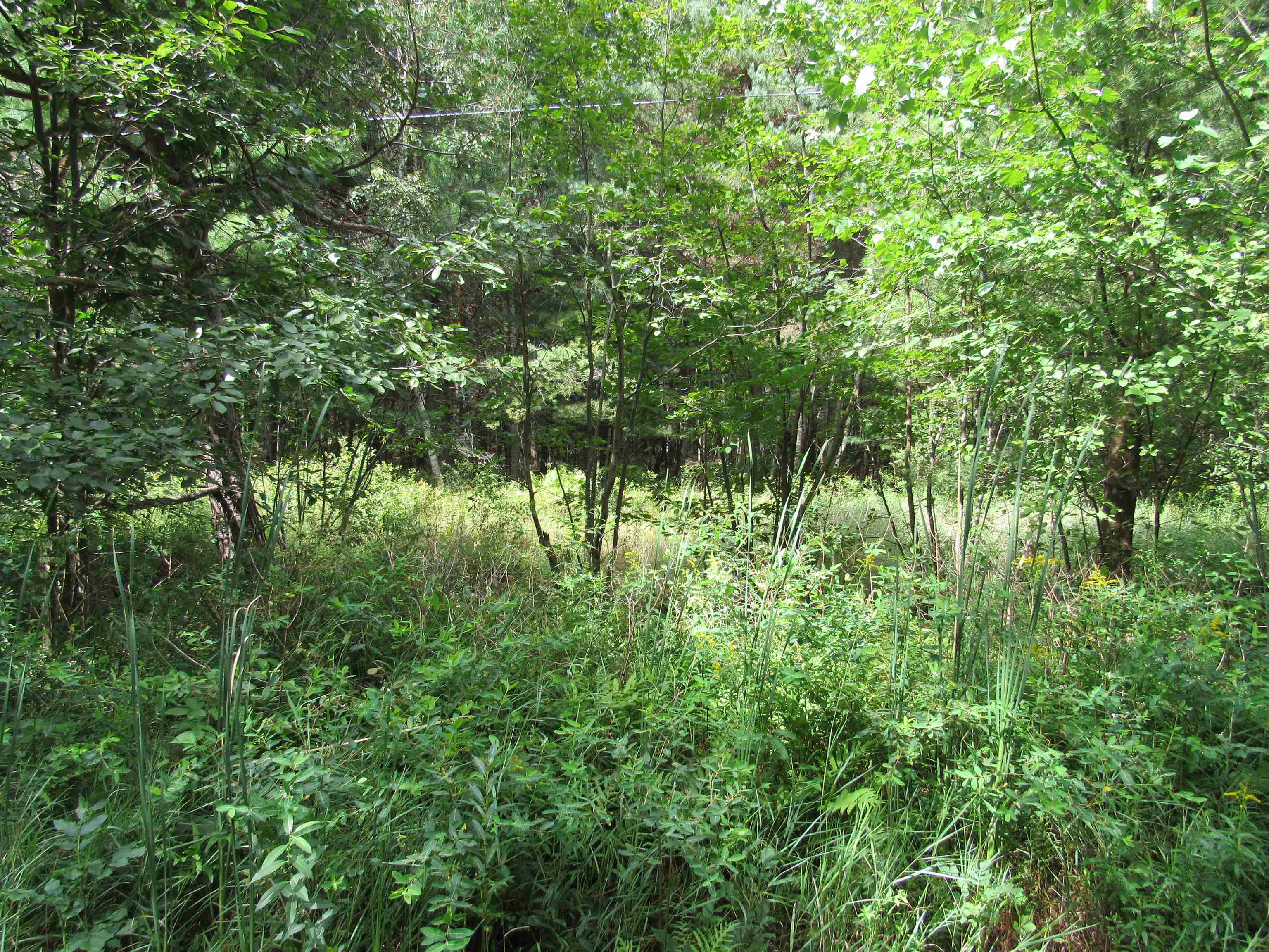 00 Duby Road Property Photo 1