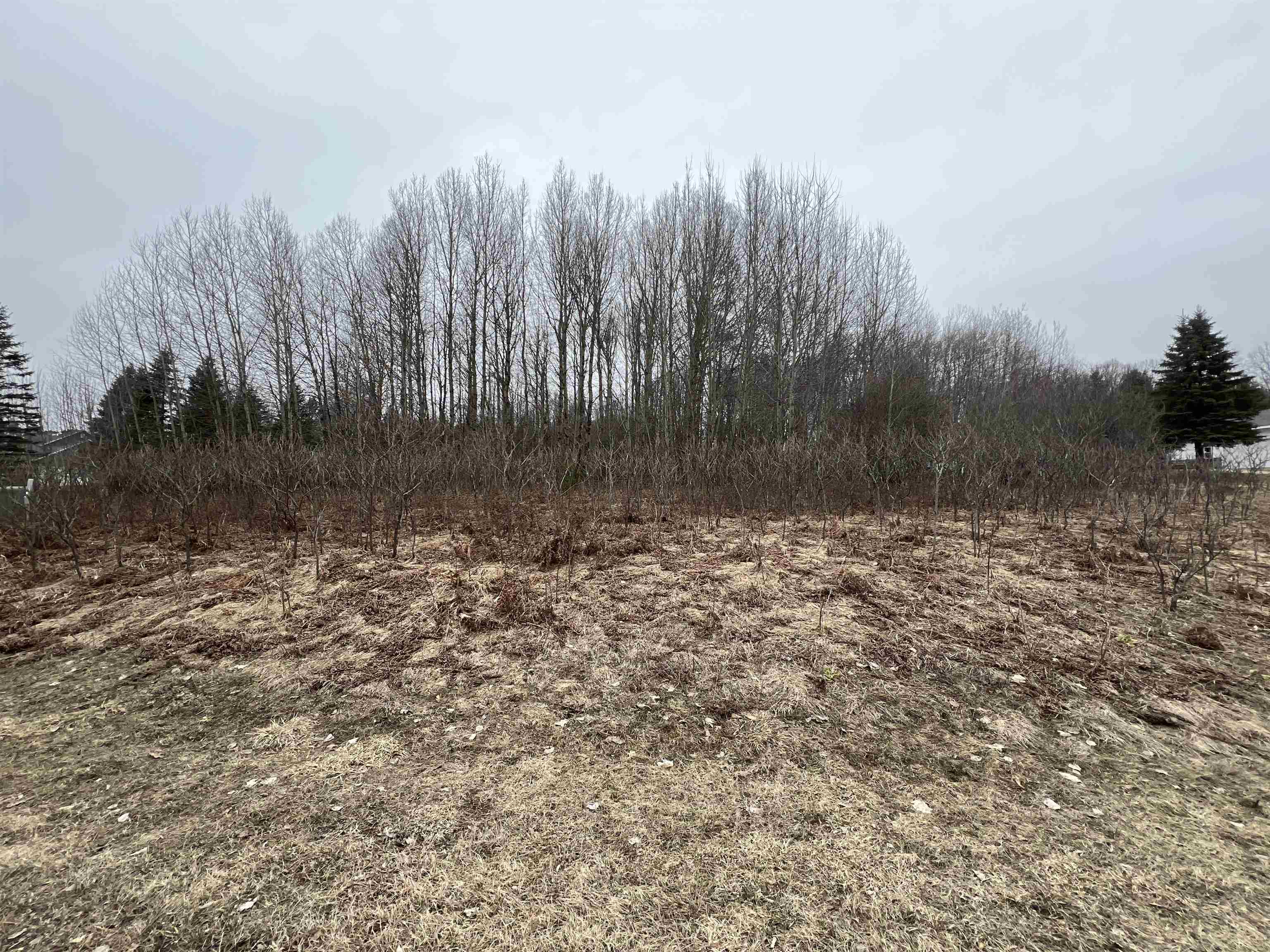 Lot 19 Crestview Drive Property Photo 1