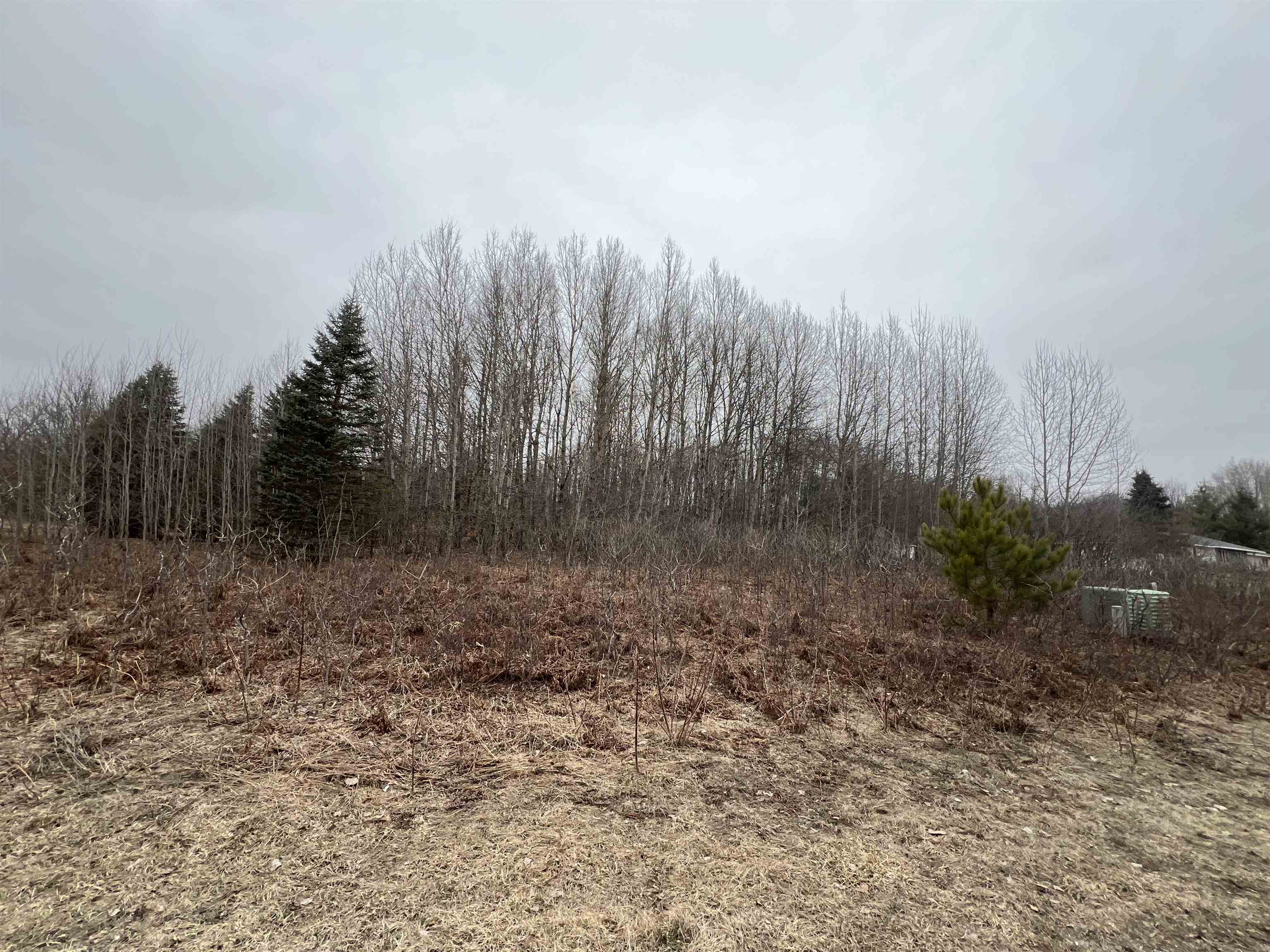 Lot 19 Crestview Drive Property Photo 2