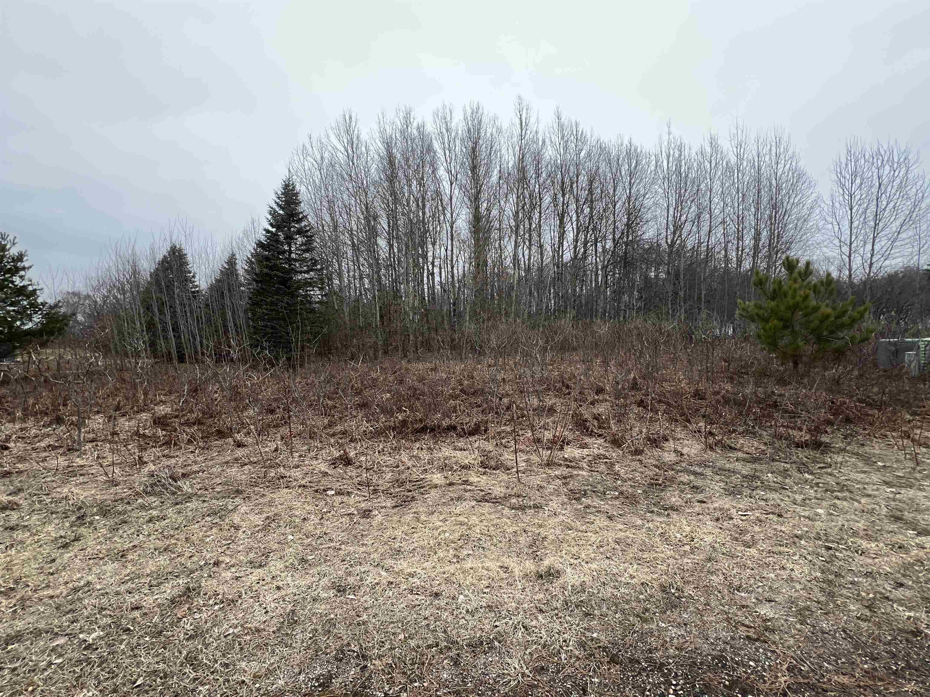 Lot 19 Crestview Drive Property Photo 3
