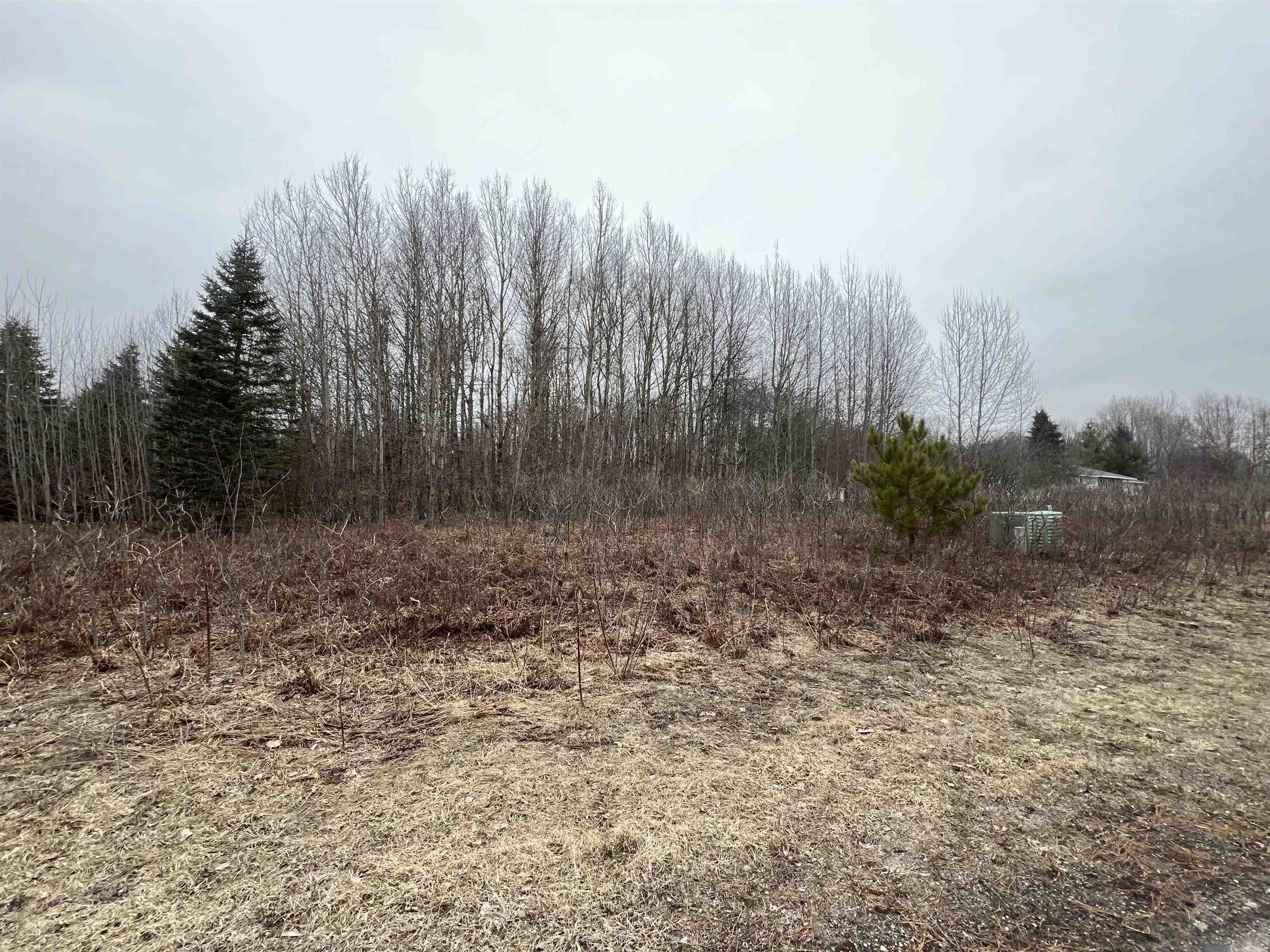 Lot 19 Crestview Drive Property Photo 4