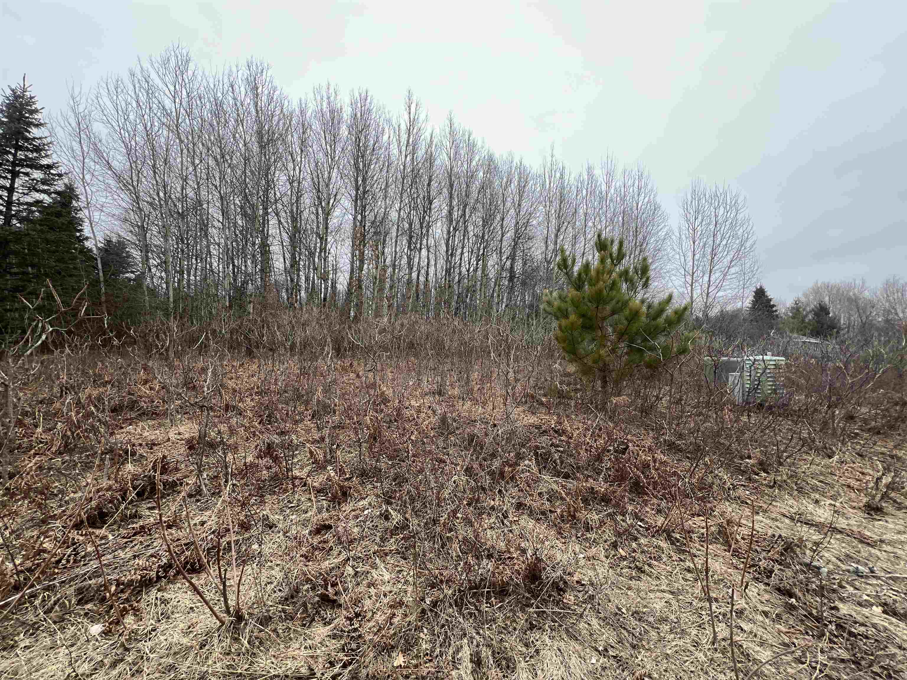 Lot 19 Crestview Drive Property Photo 5