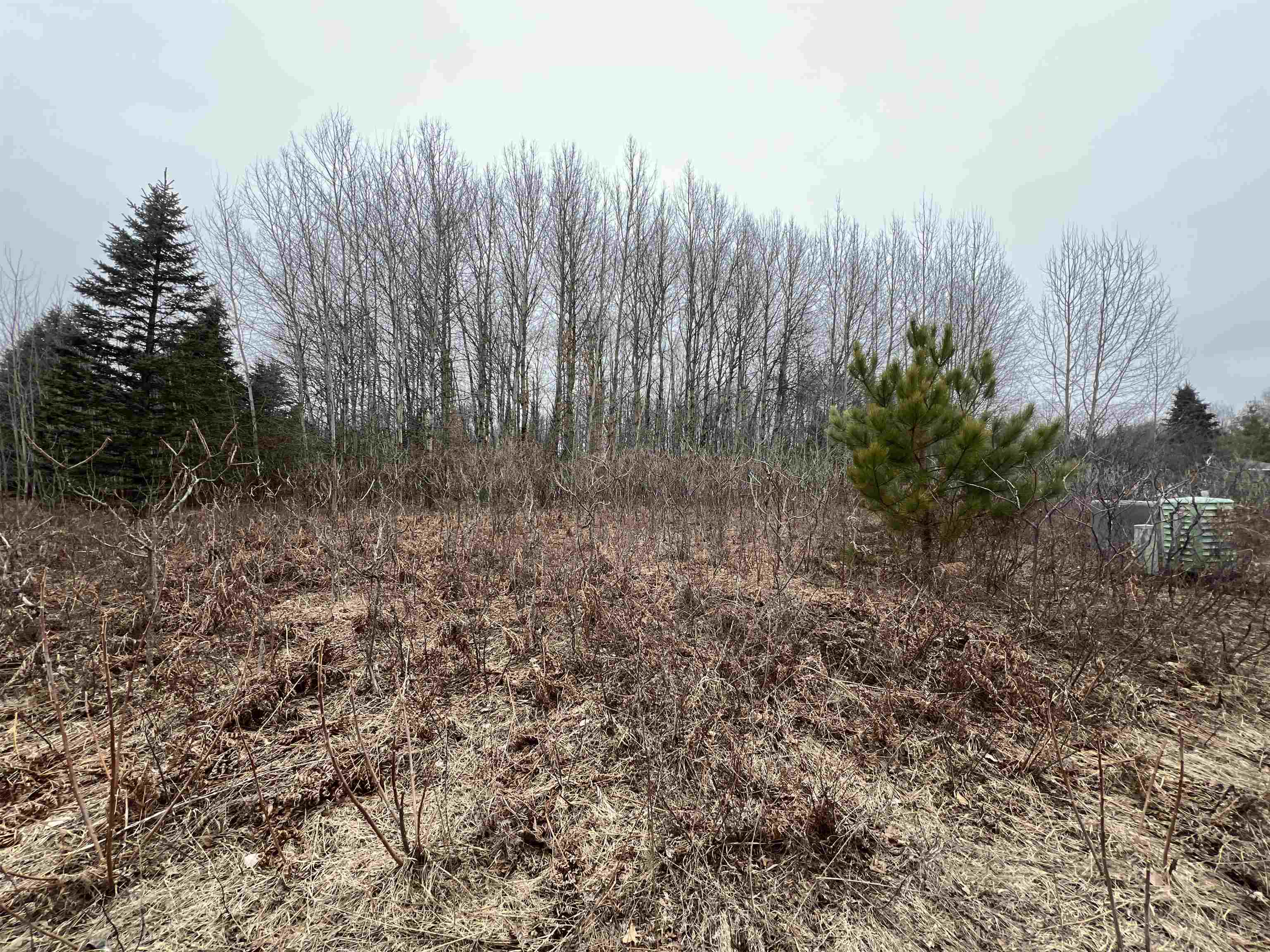 Lot 19 Crestview Drive Property Photo 6