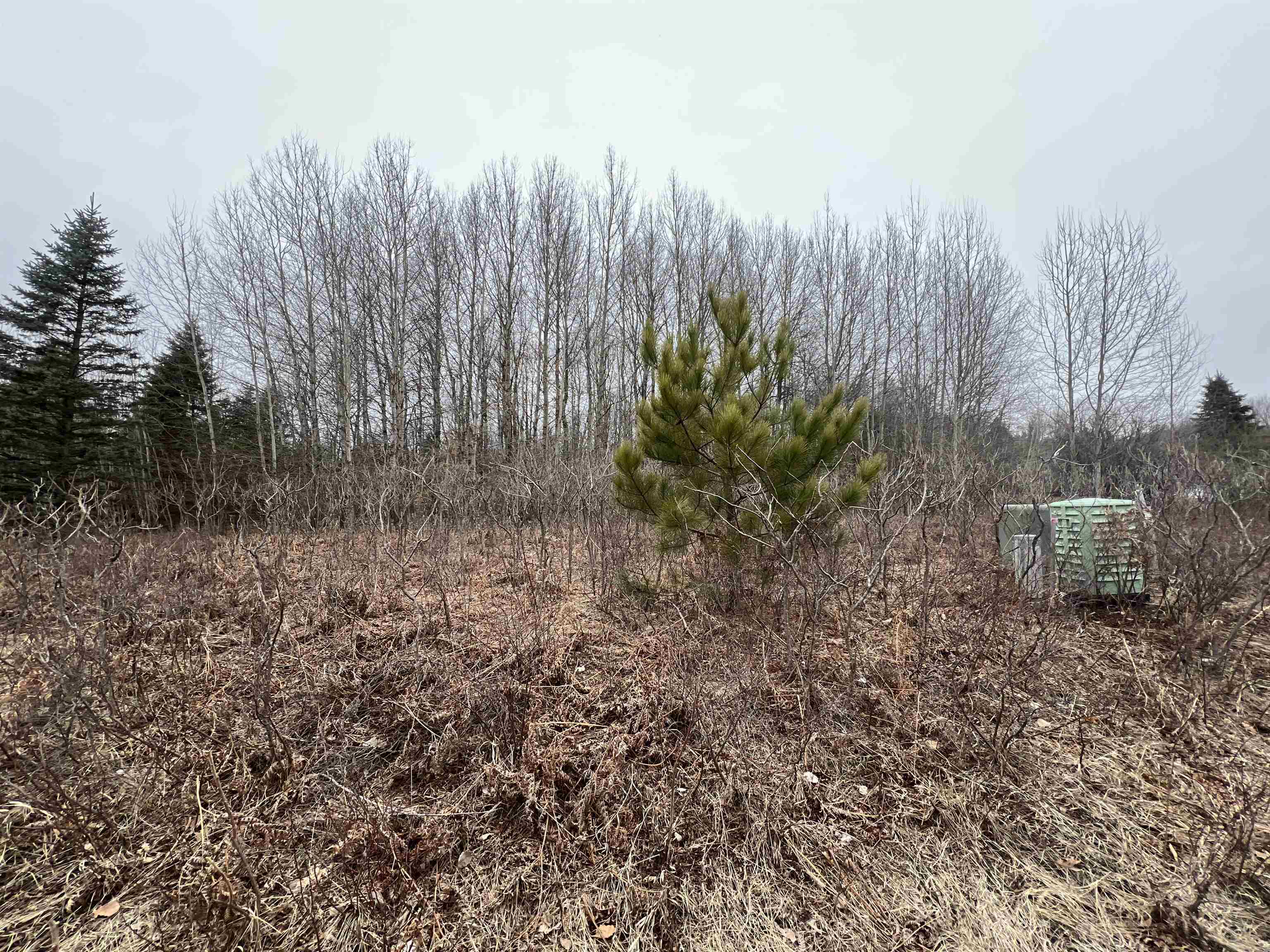 Lot 19 Crestview Drive Property Photo 7