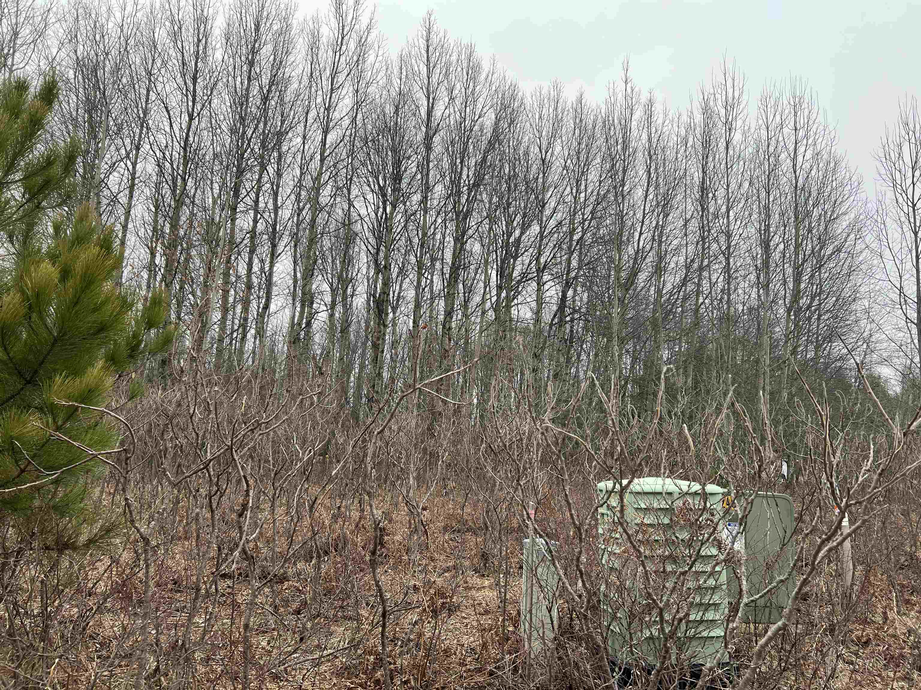 Lot 19 Crestview Drive Property Photo 9