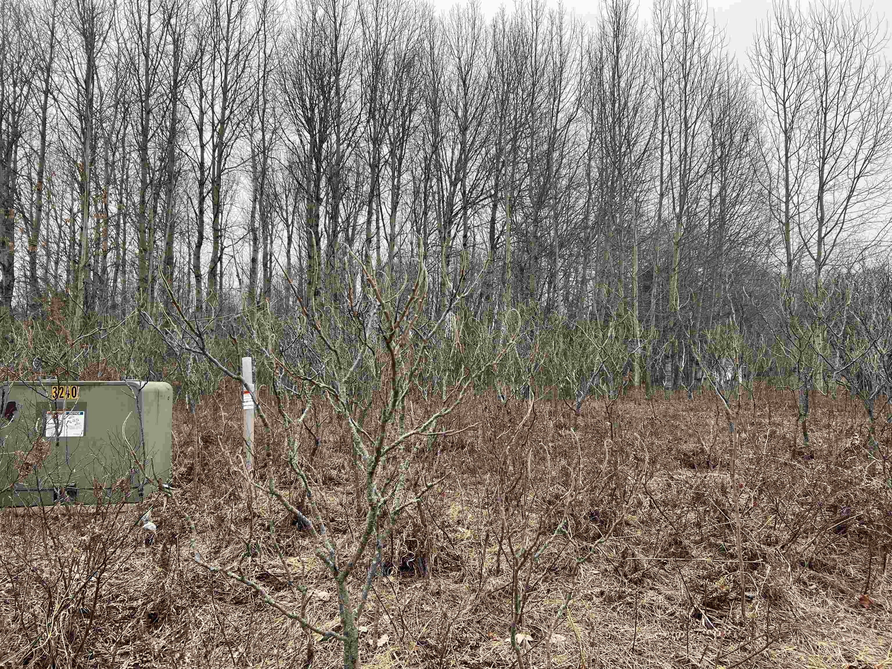 Lot 19 Crestview Drive Property Photo 10