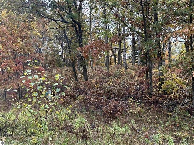Lot #6 N Circle E Property Photo 3