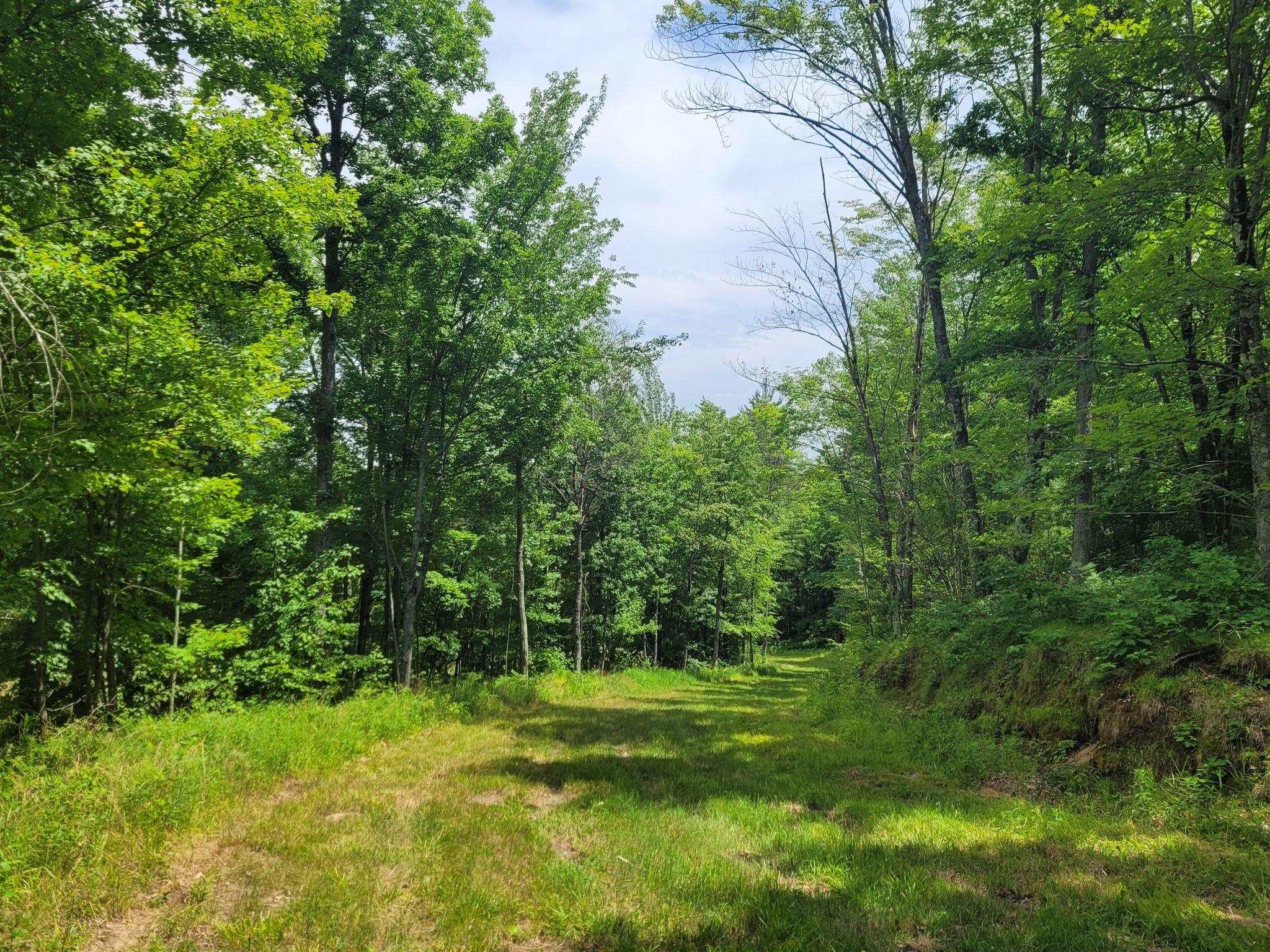 0 W M-55 Property Photo 11