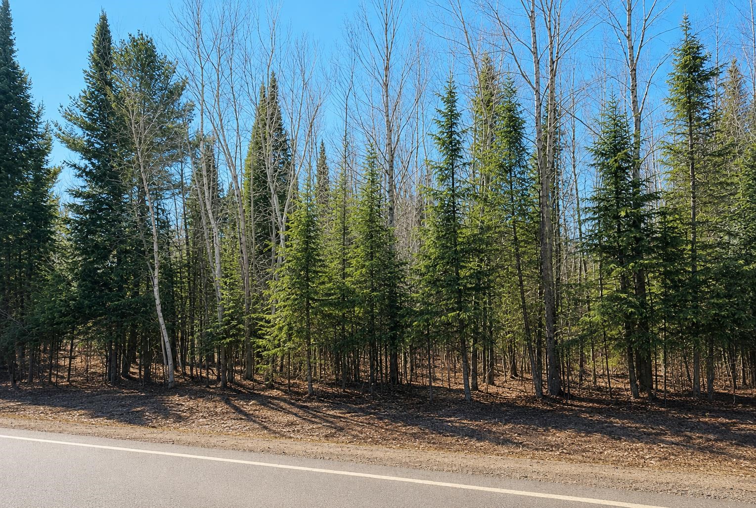 A Garfield Road Property Photo 1