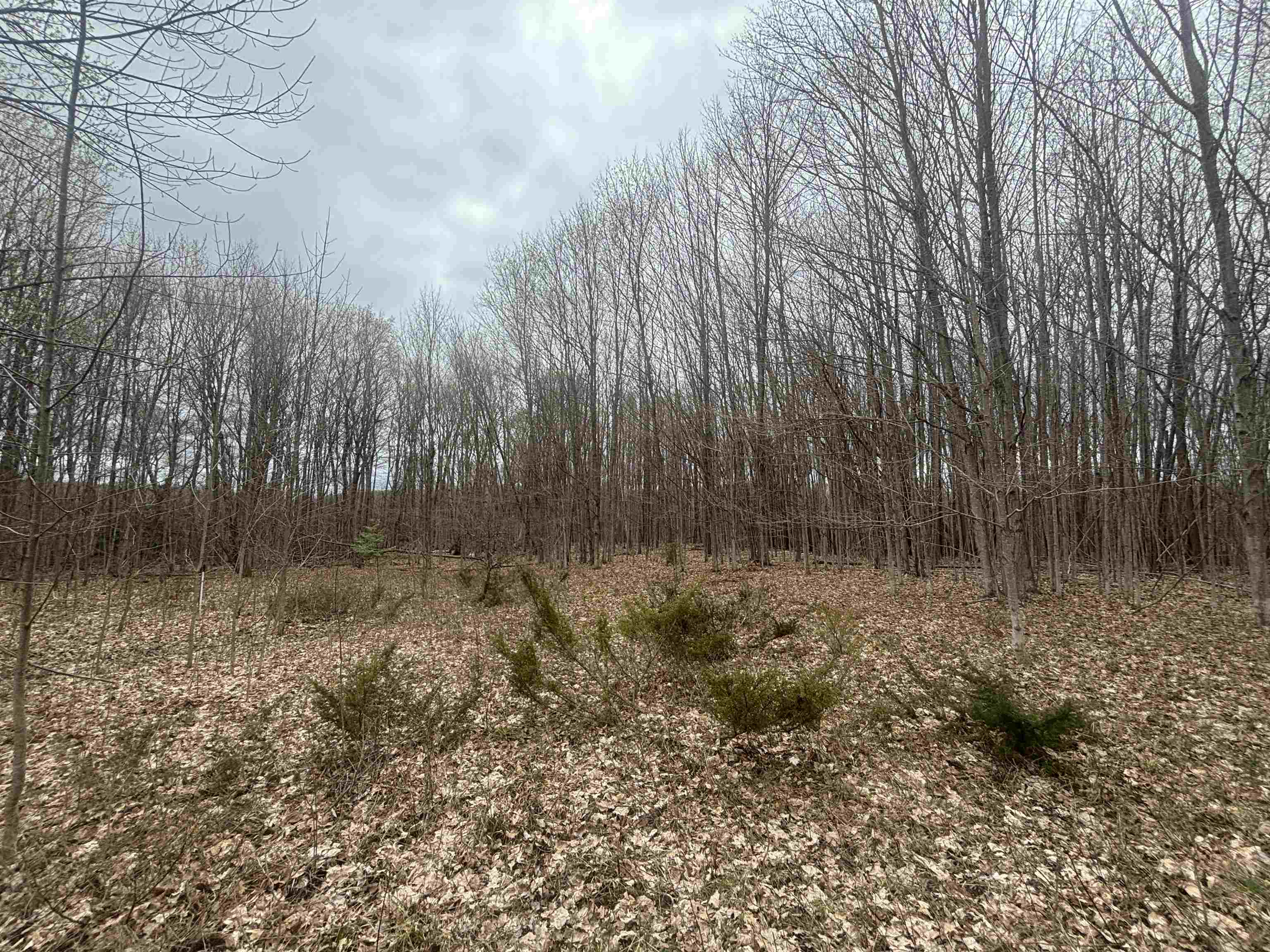 00 Kilkenny Lane Property Photo 2