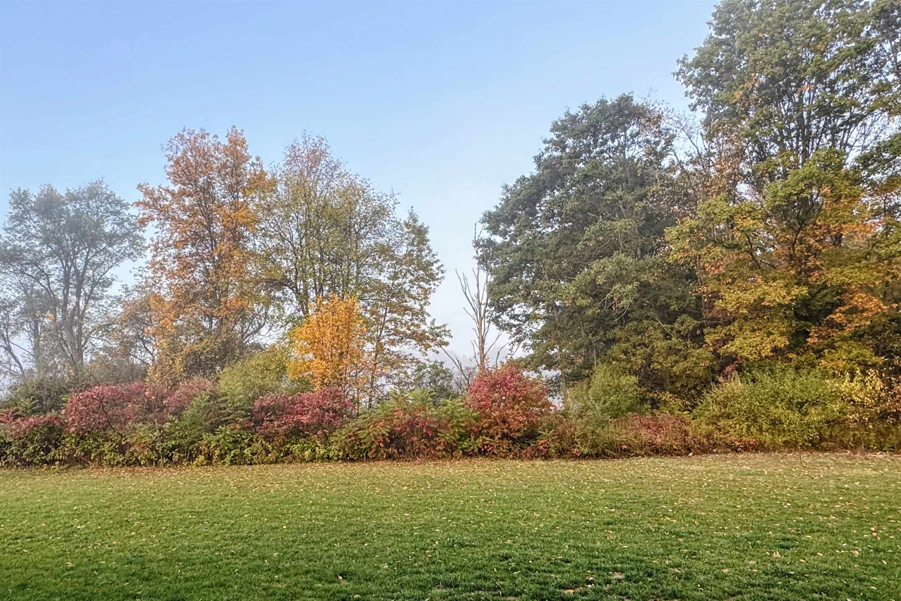 2578 White Pine Property Photo 43
