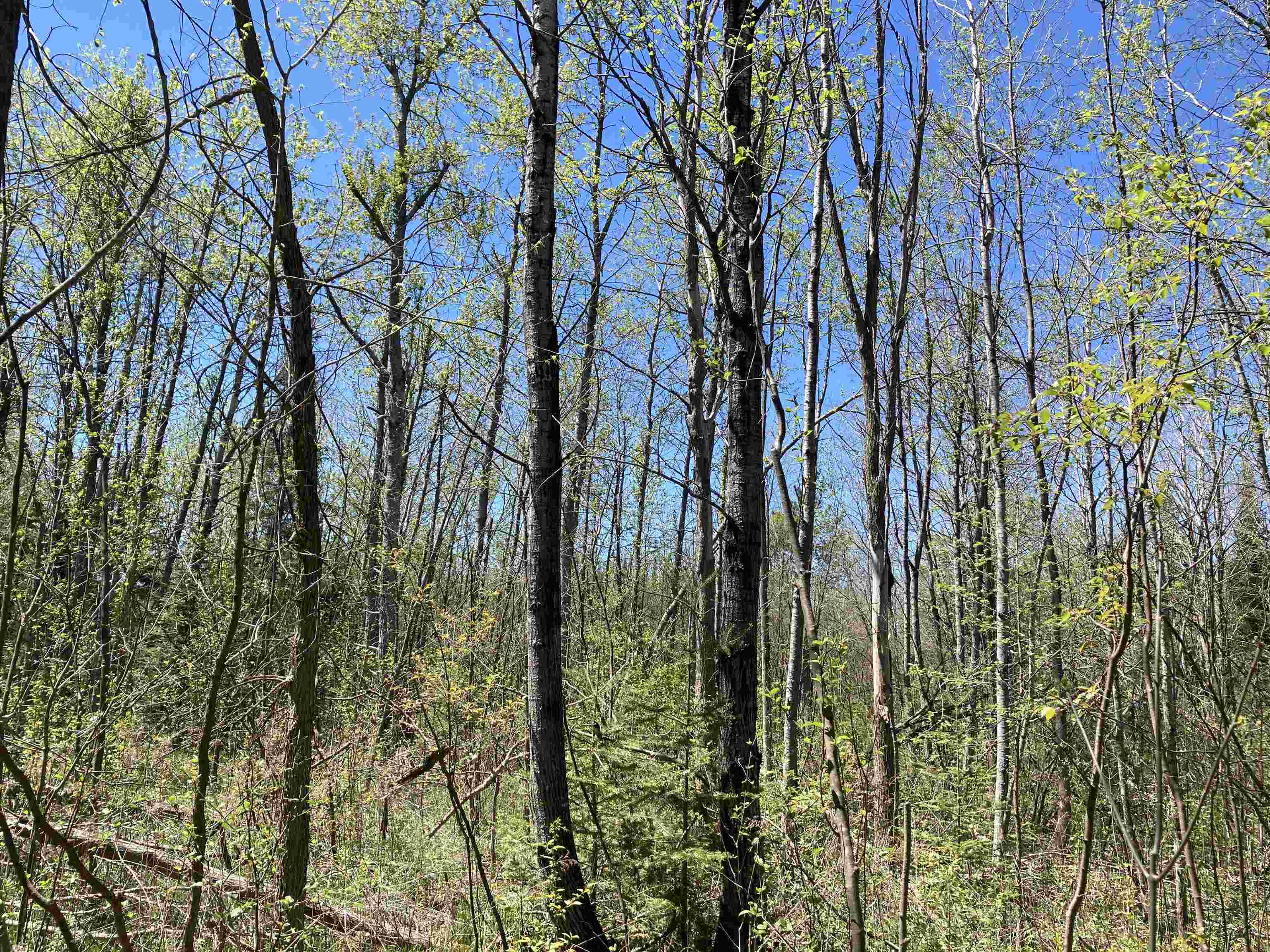 00 W Miller Road Property Photo 17