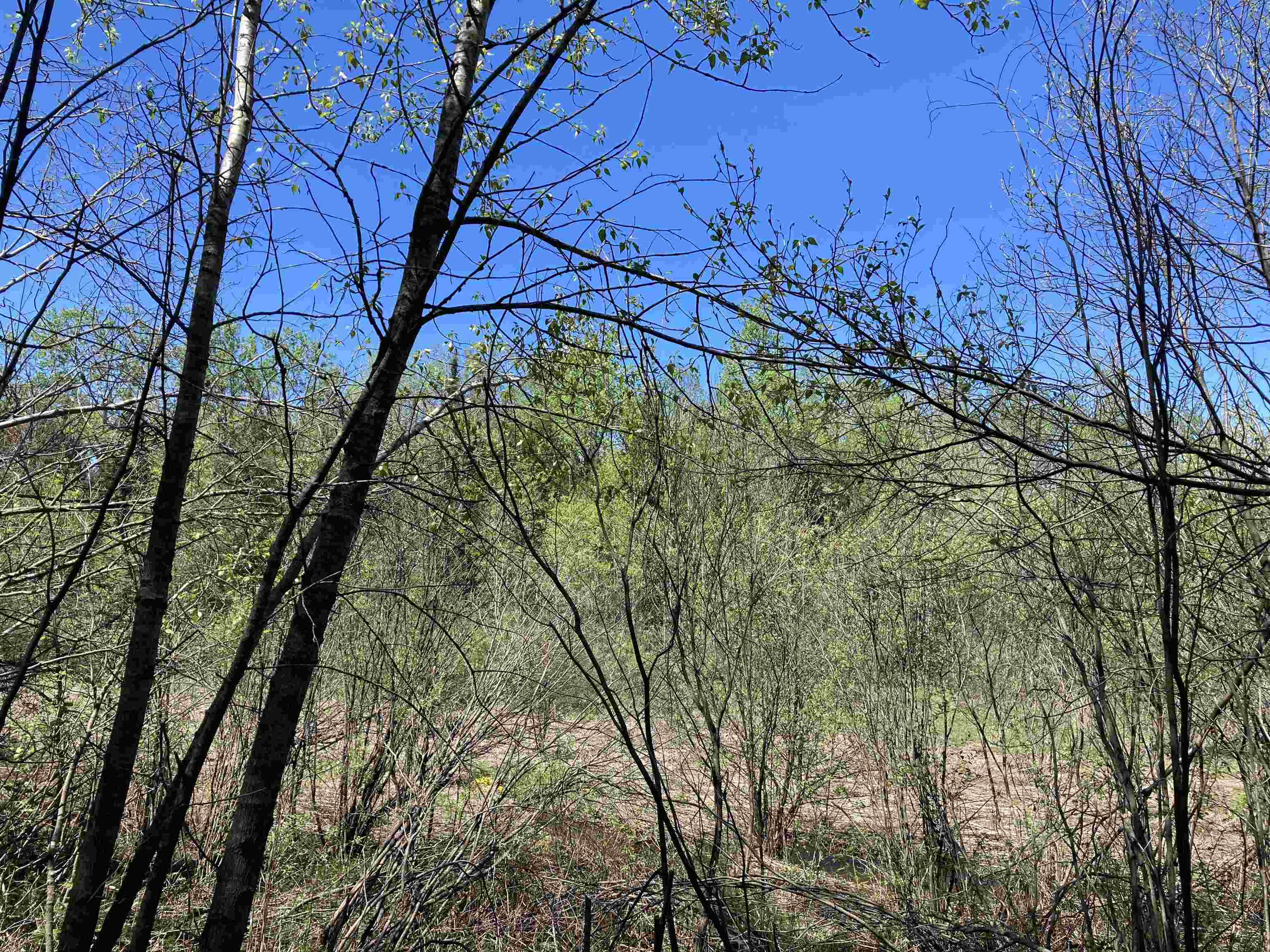 00 W Miller Road Property Photo 19