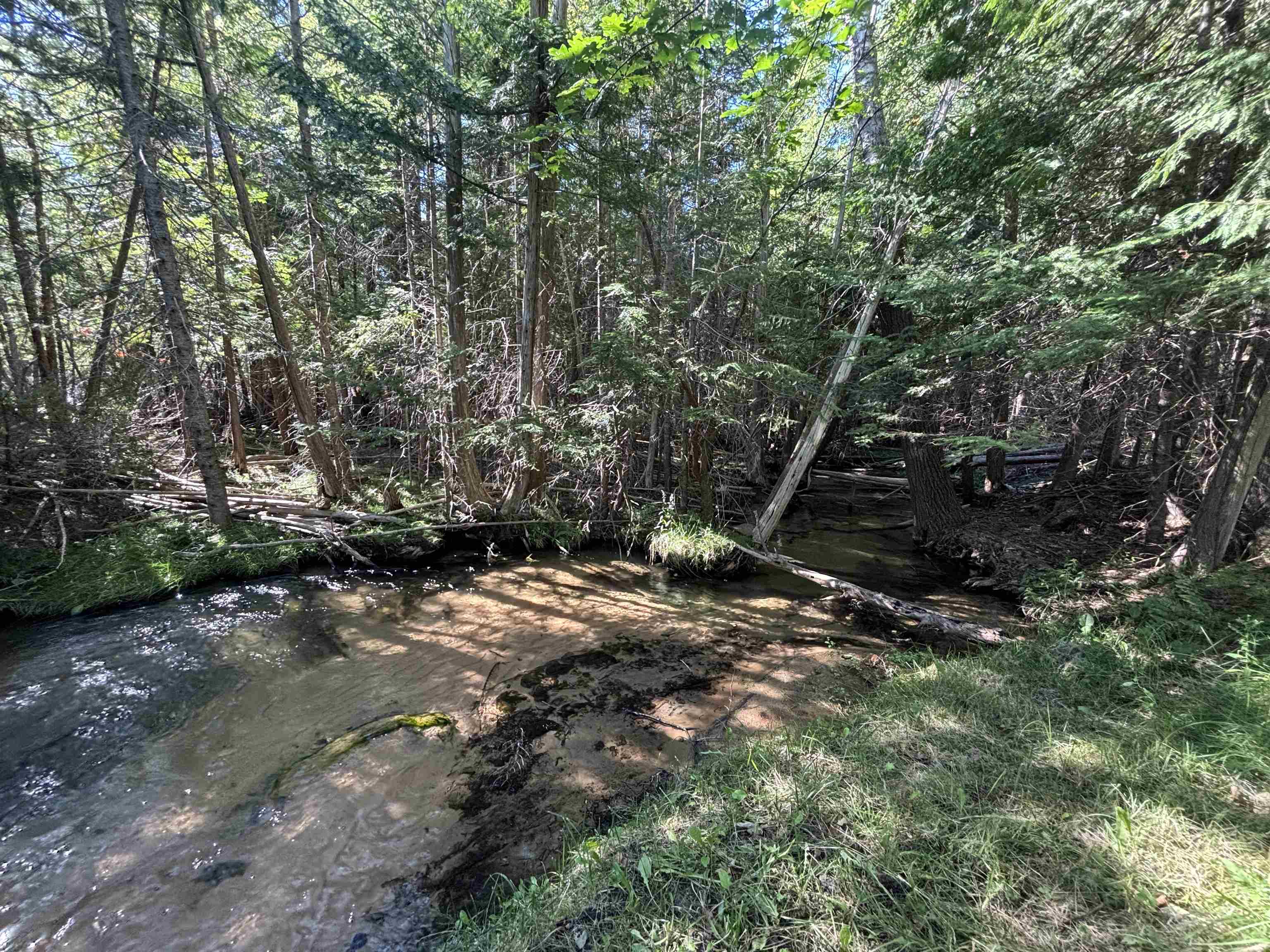 4715 Springbrook Drive Property Photo 4