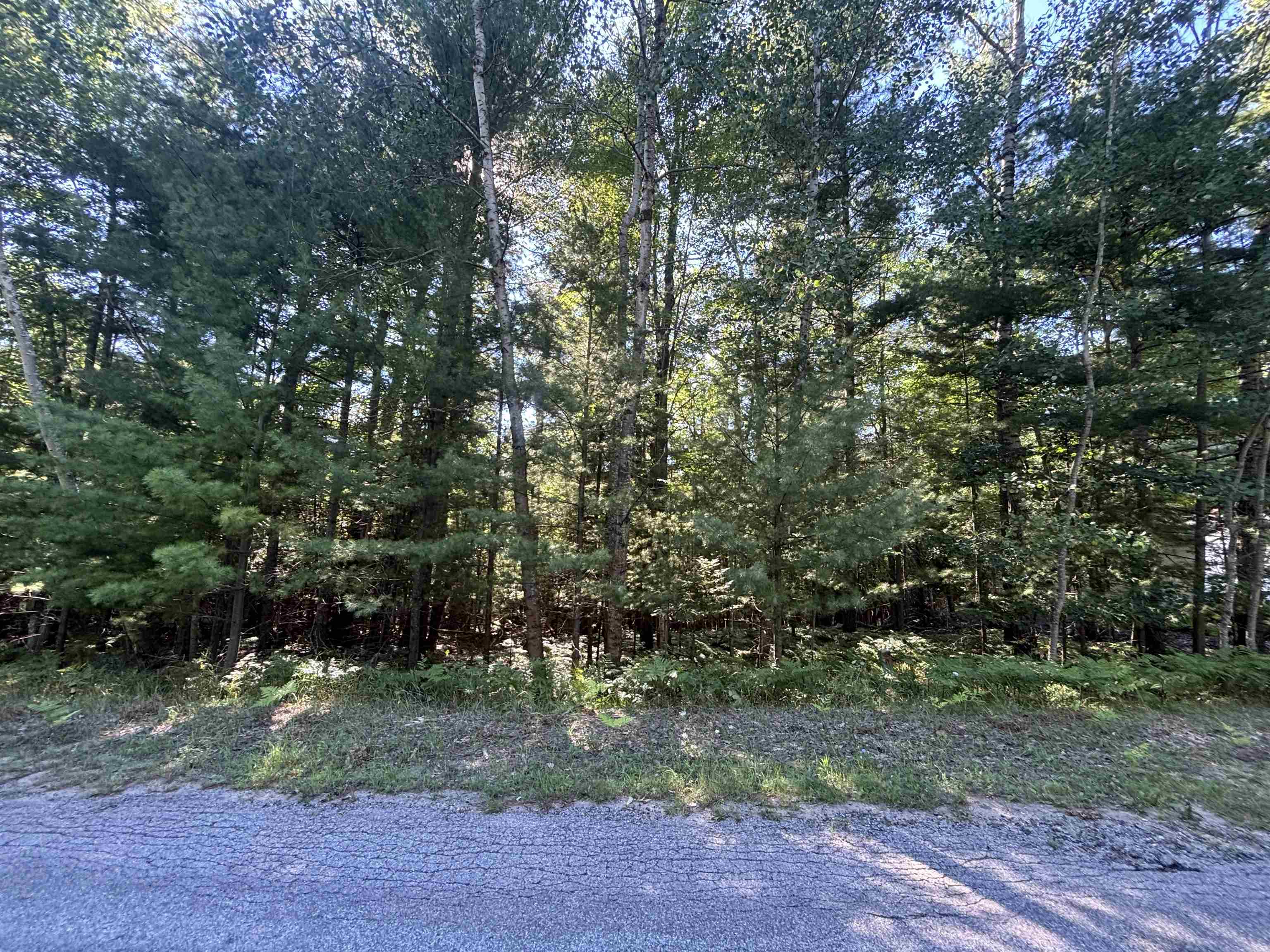 4715 Springbrook Drive Property Photo 5