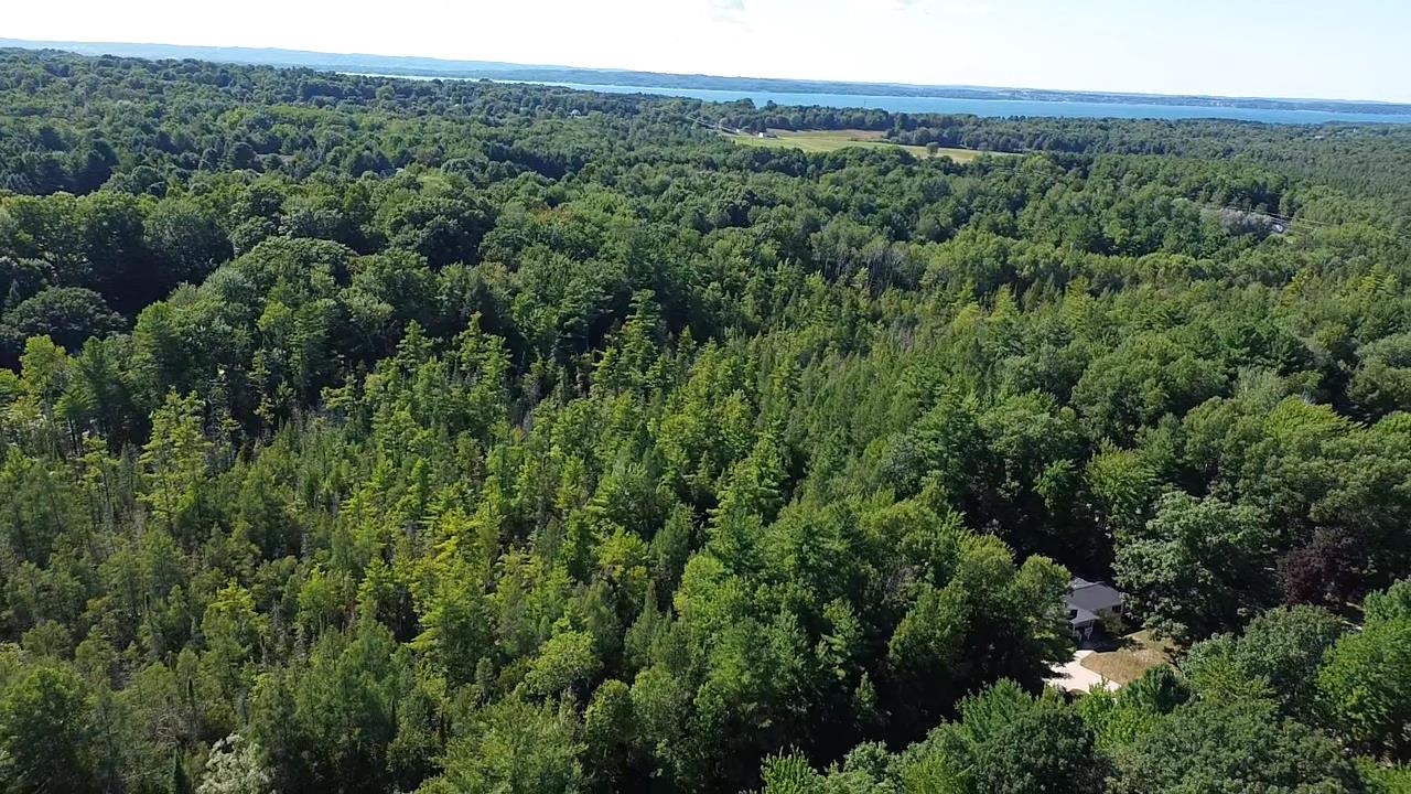 4715 Springbrook Drive Property Photo 7