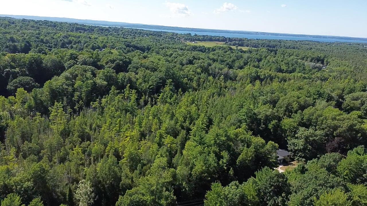 4715 Springbrook Drive Property Photo 8