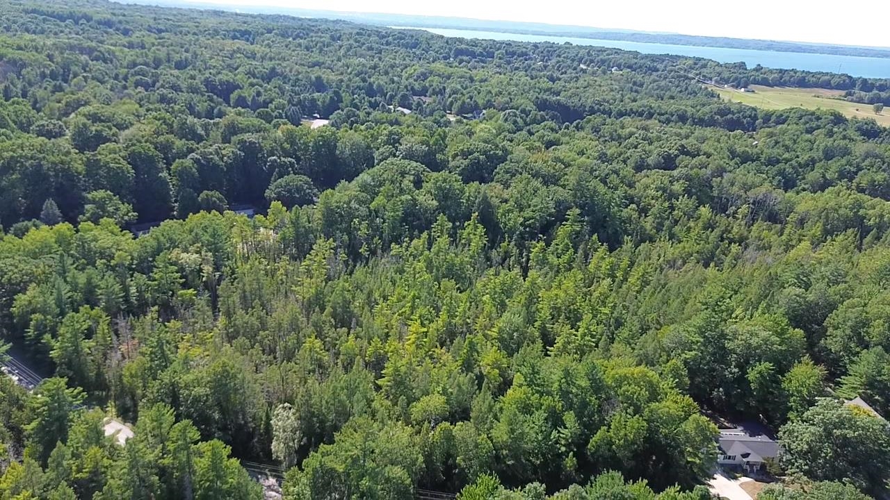 4715 Springbrook Drive Property Photo 9