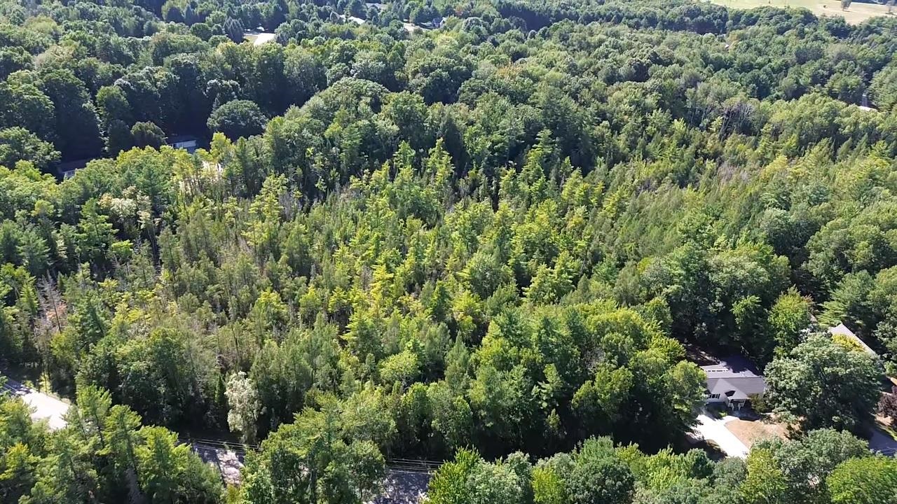 4715 Springbrook Drive Property Photo 10