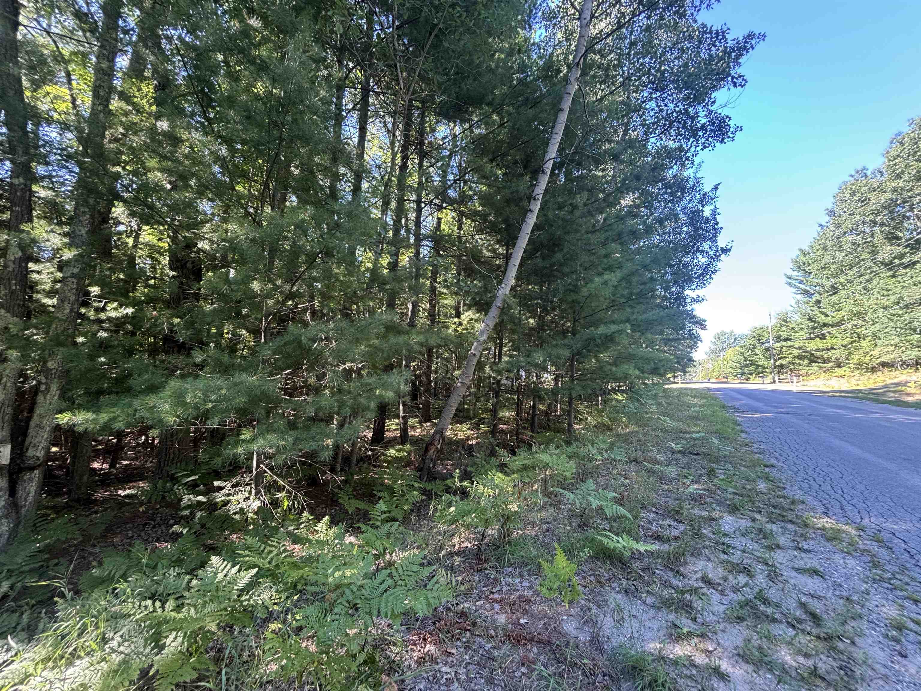 4715 Springbrook Drive Property Photo 11