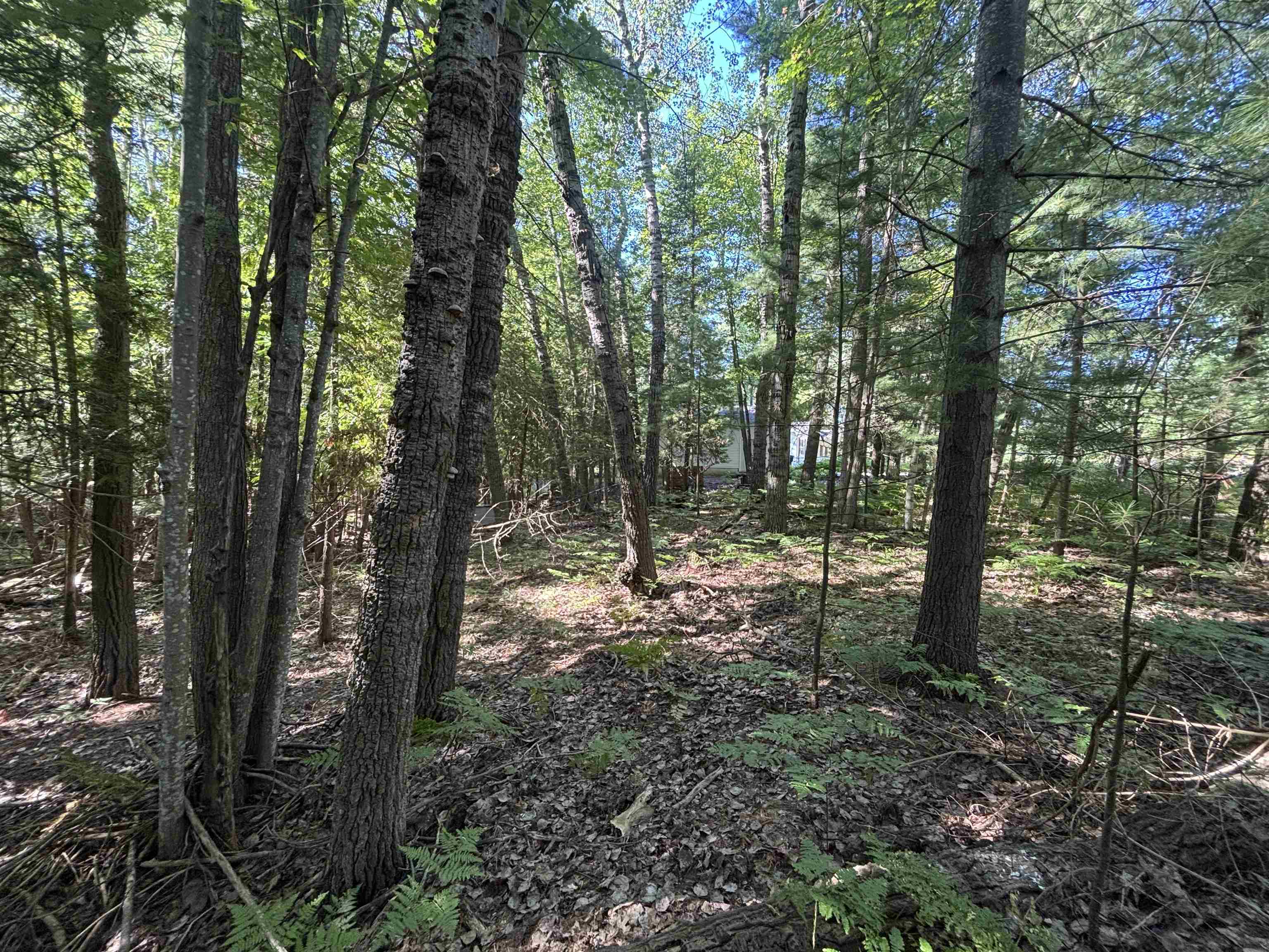 4715 Springbrook Drive Property Photo 12