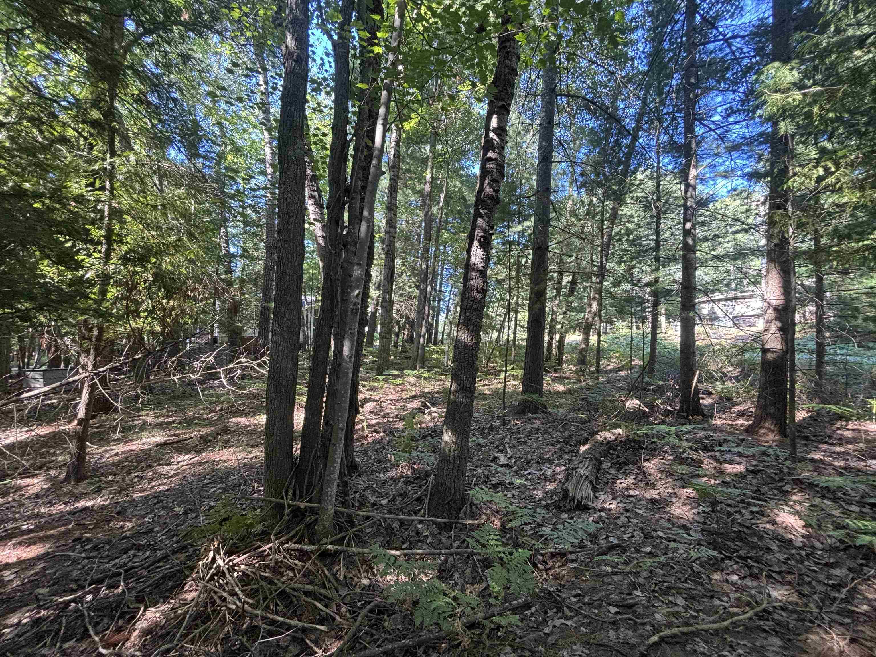 4715 Springbrook Drive Property Photo 17