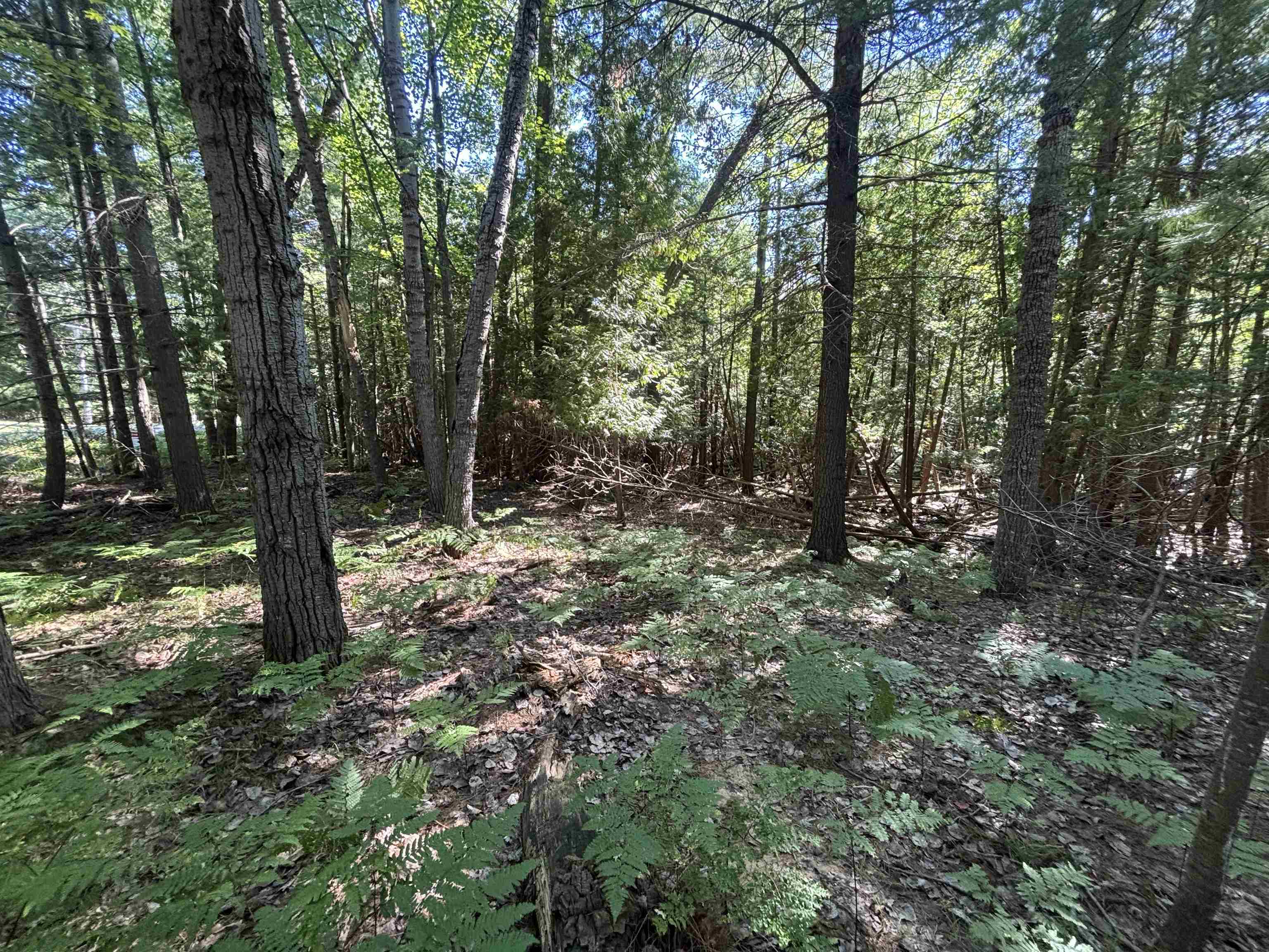 4715 Springbrook Drive Property Photo 18