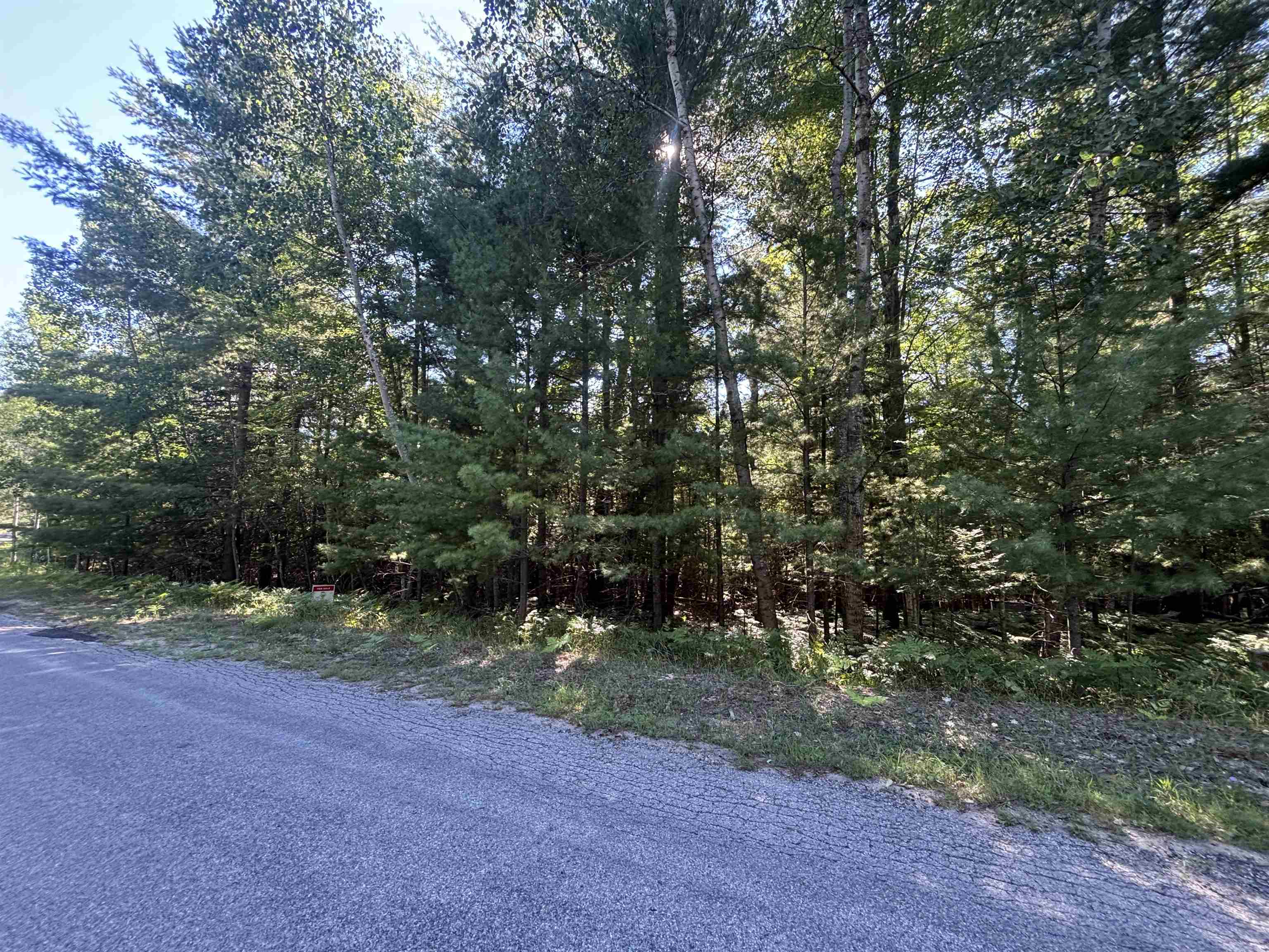 4715 Springbrook Drive Property Photo 21