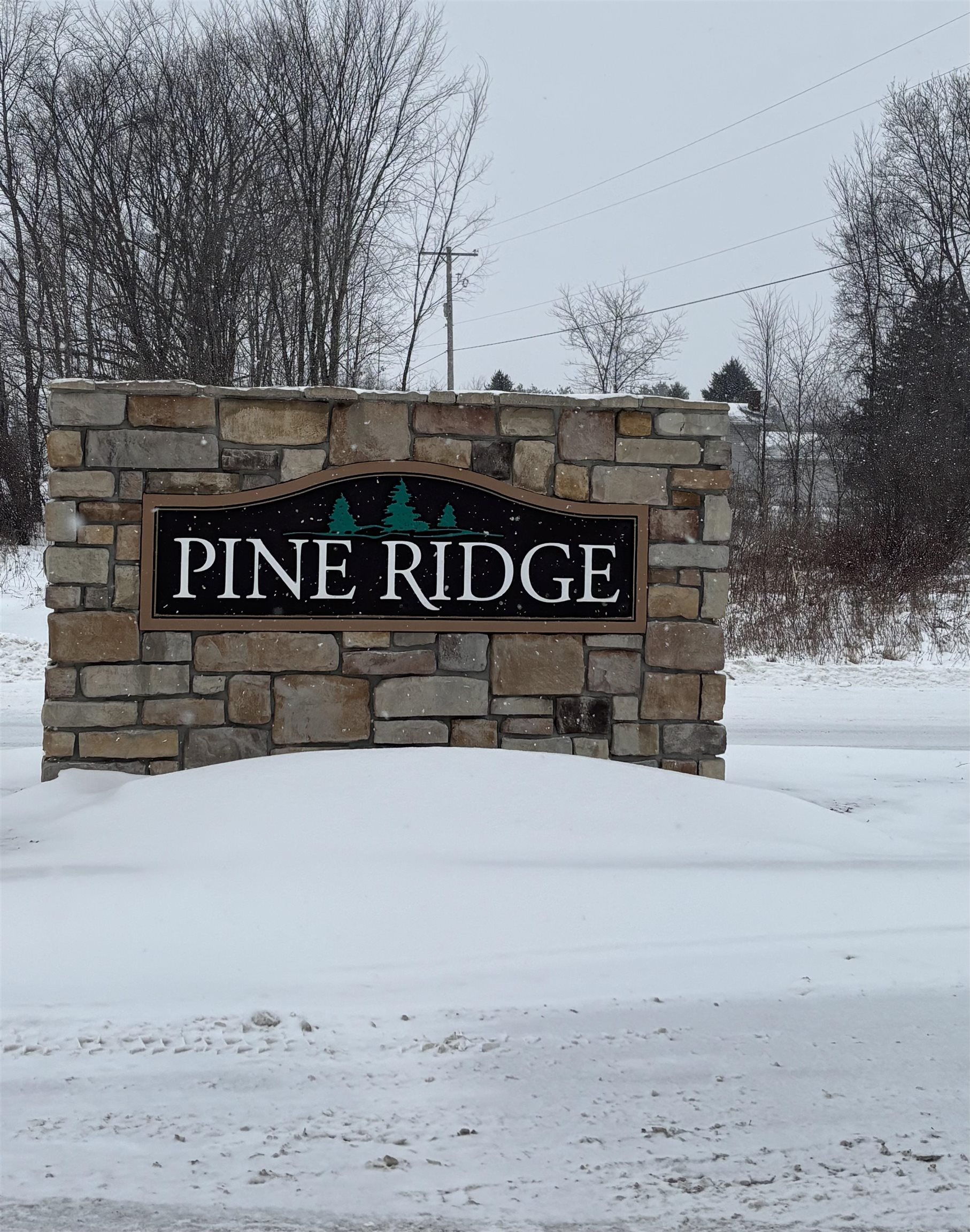 000 Pine Ridge Drive Property Photo 1