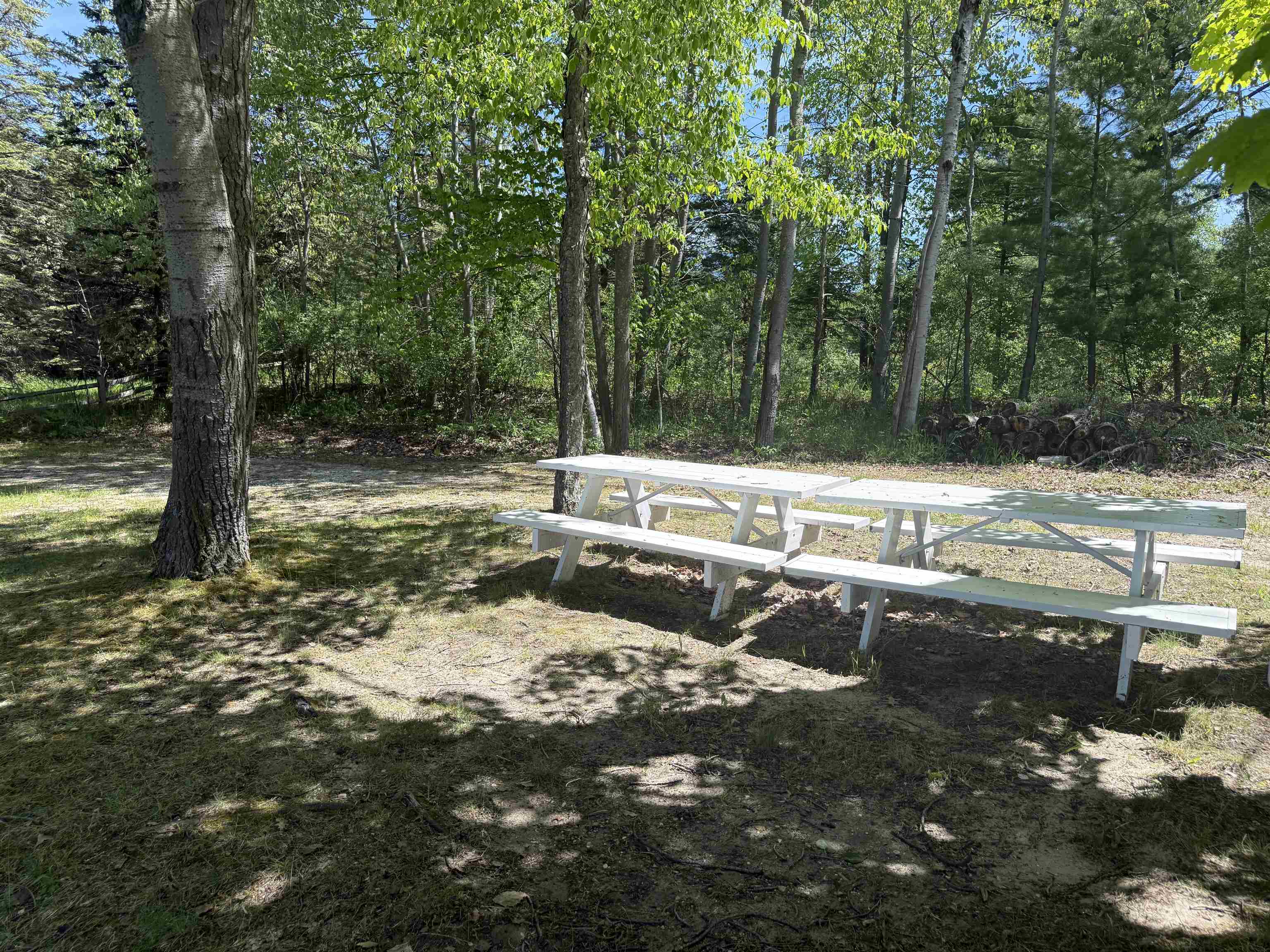 8923 Se Torch Lake Drive Property Photo 5