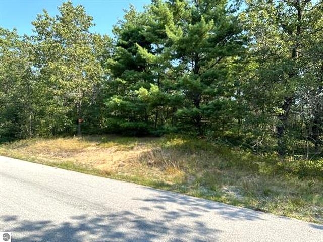 00 Wintergreen Street Property Photo 3