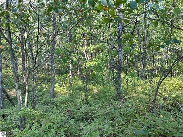 00 Wintergreen Street Property Photo 4