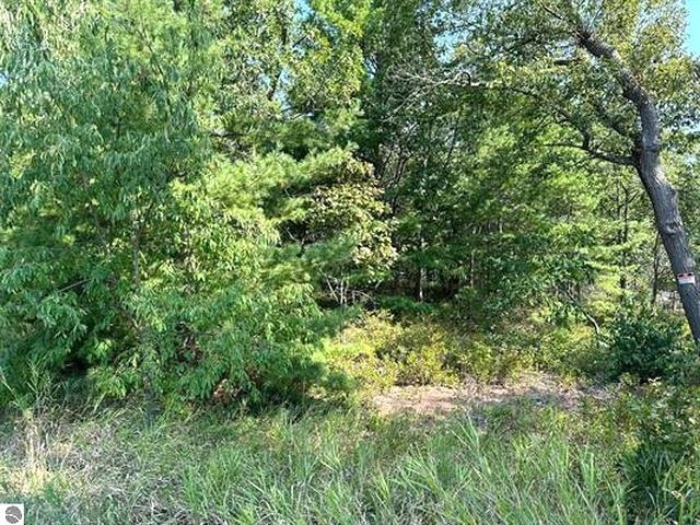 00 Wintergreen Street Property Photo 6