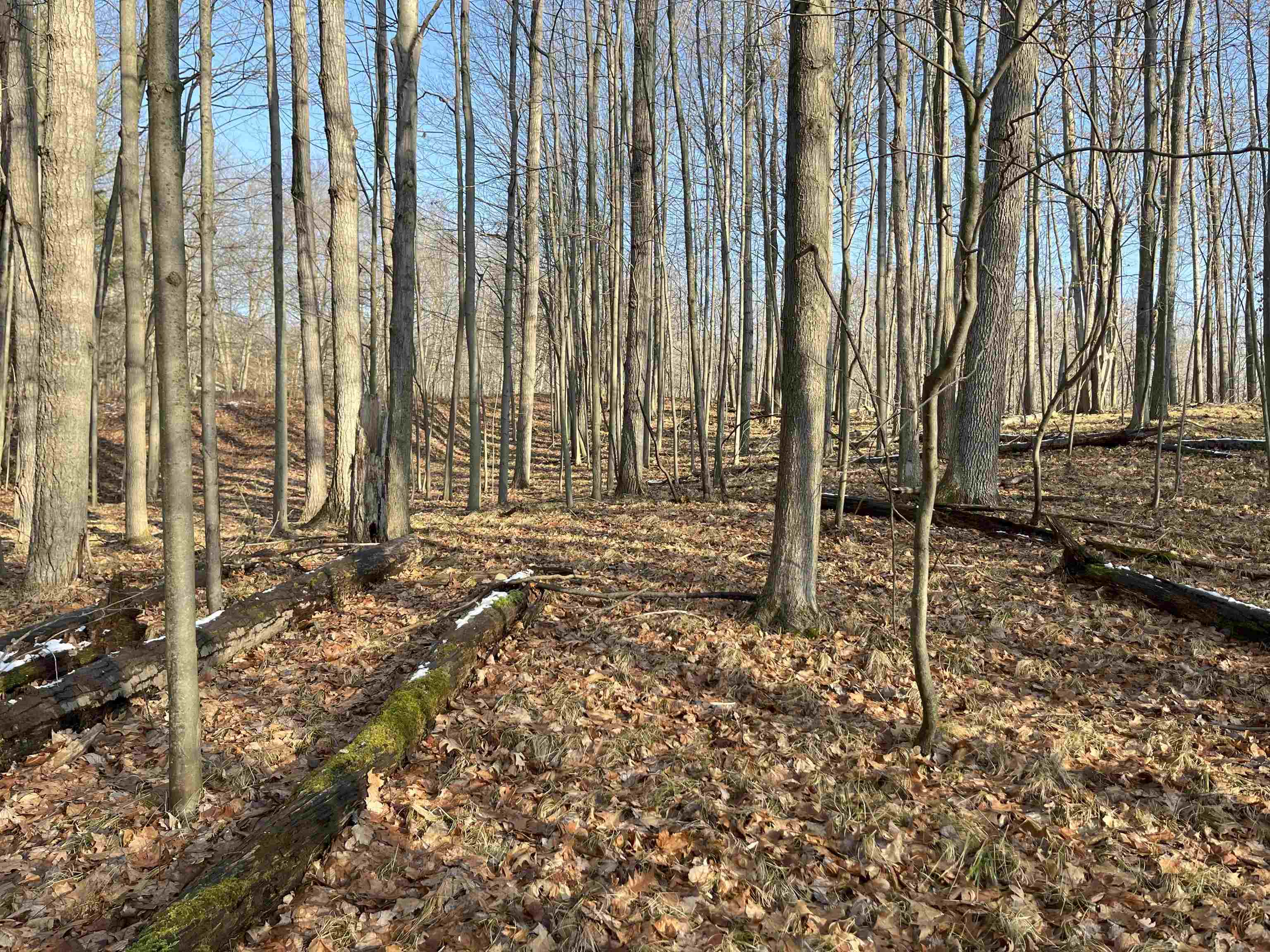 9357 W Circle Drive Property Photo 1
