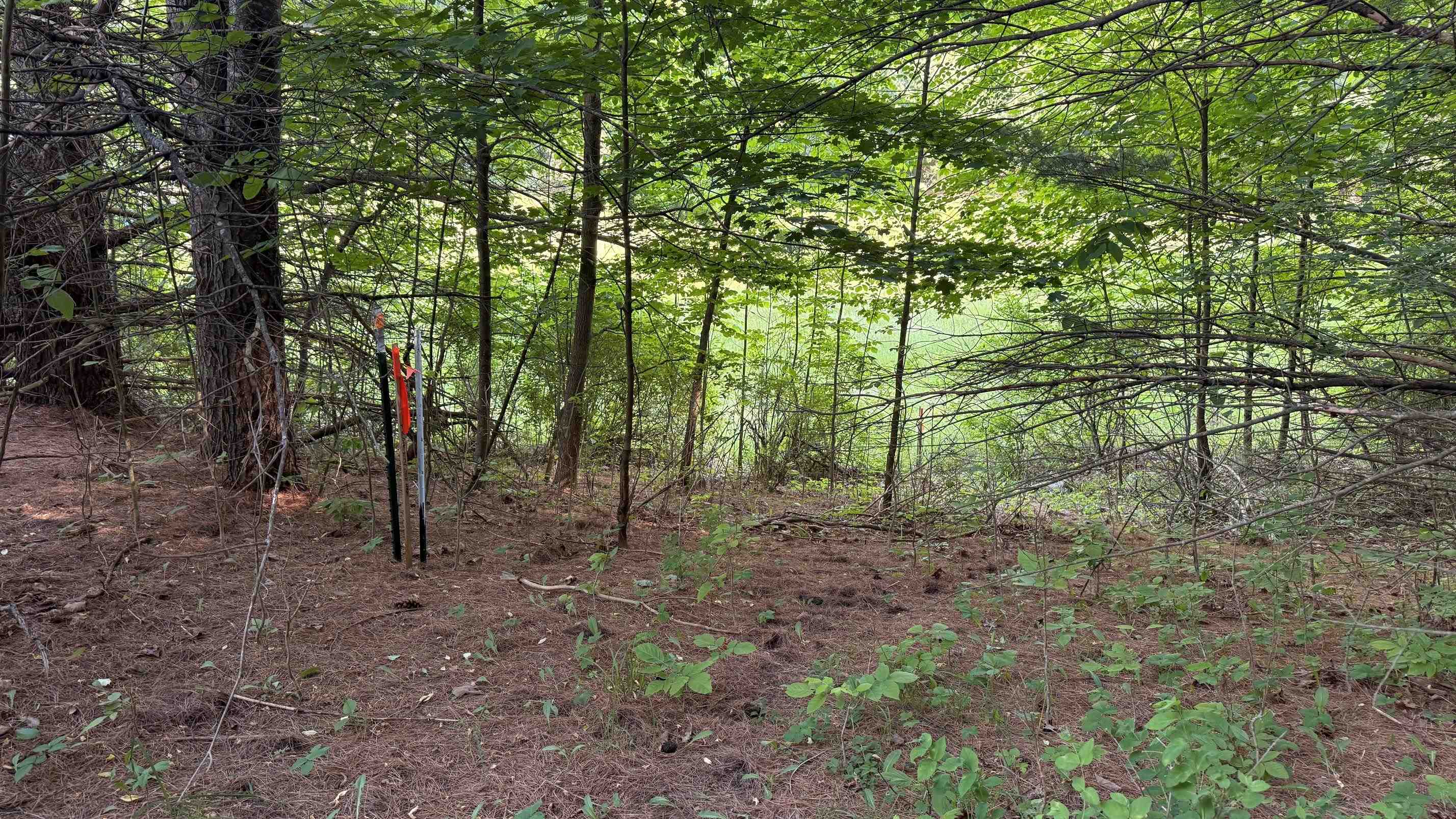 Tbd Rushton Road Property Photo 1