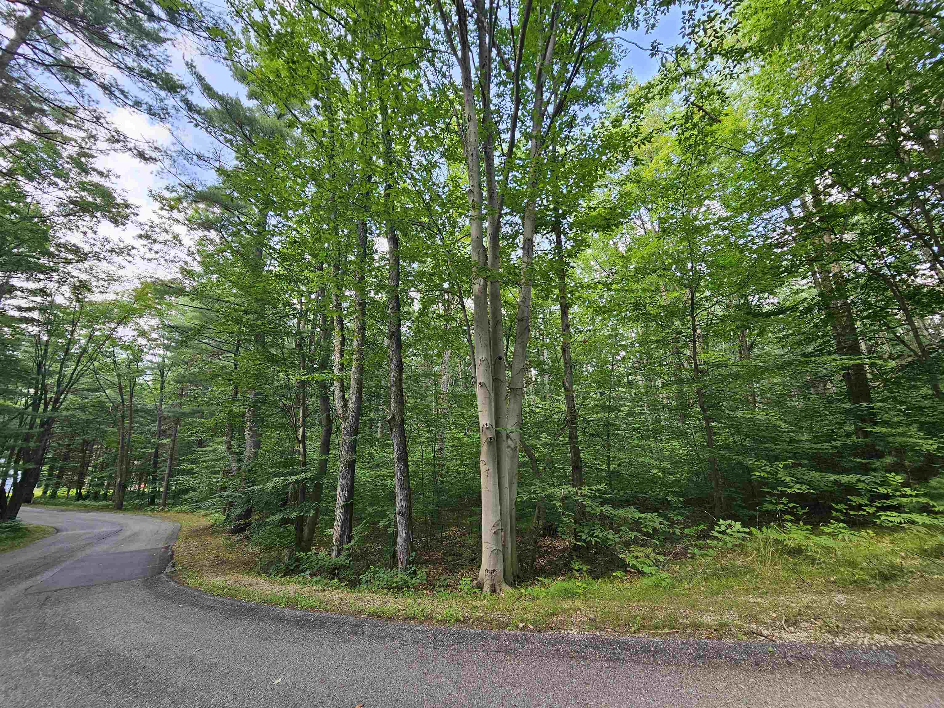 Lot 45 Woodwind Drive Property Photo 1