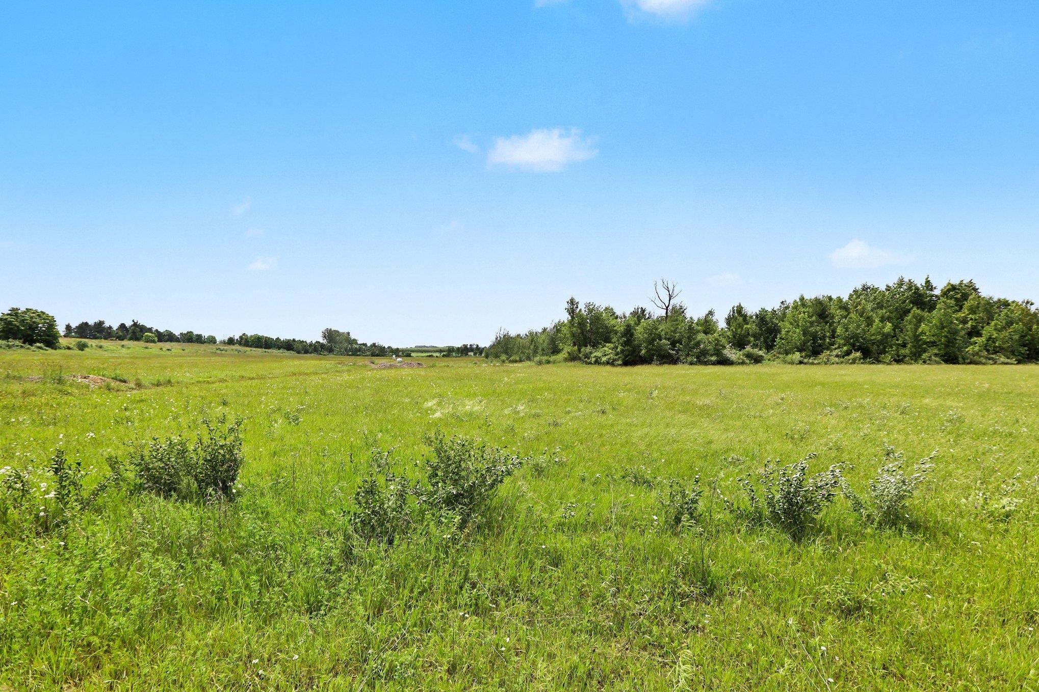 Parcel 3 Coleman Road Property Photo 19