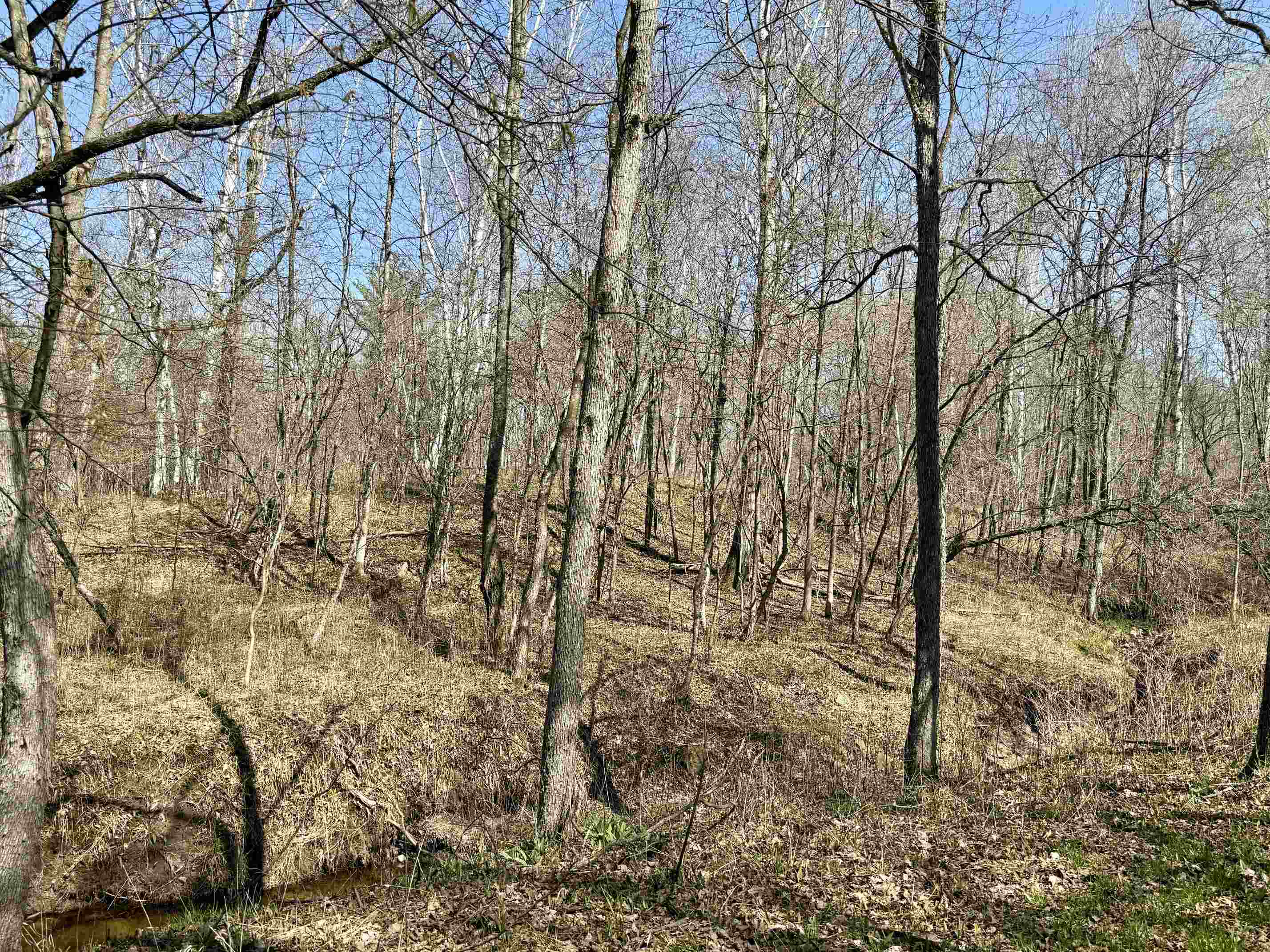 751 Hunters Ridge Property Photo 75