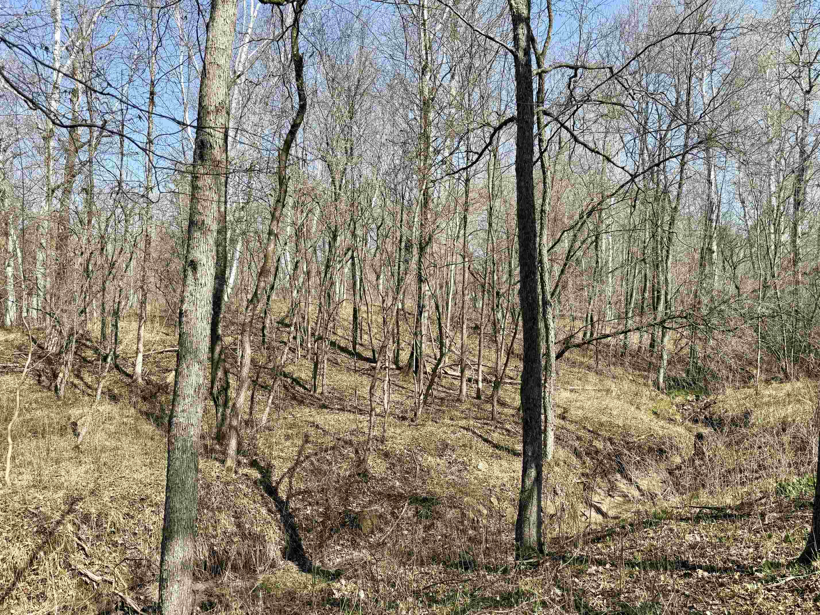 751 Hunters Ridge Property Photo 76