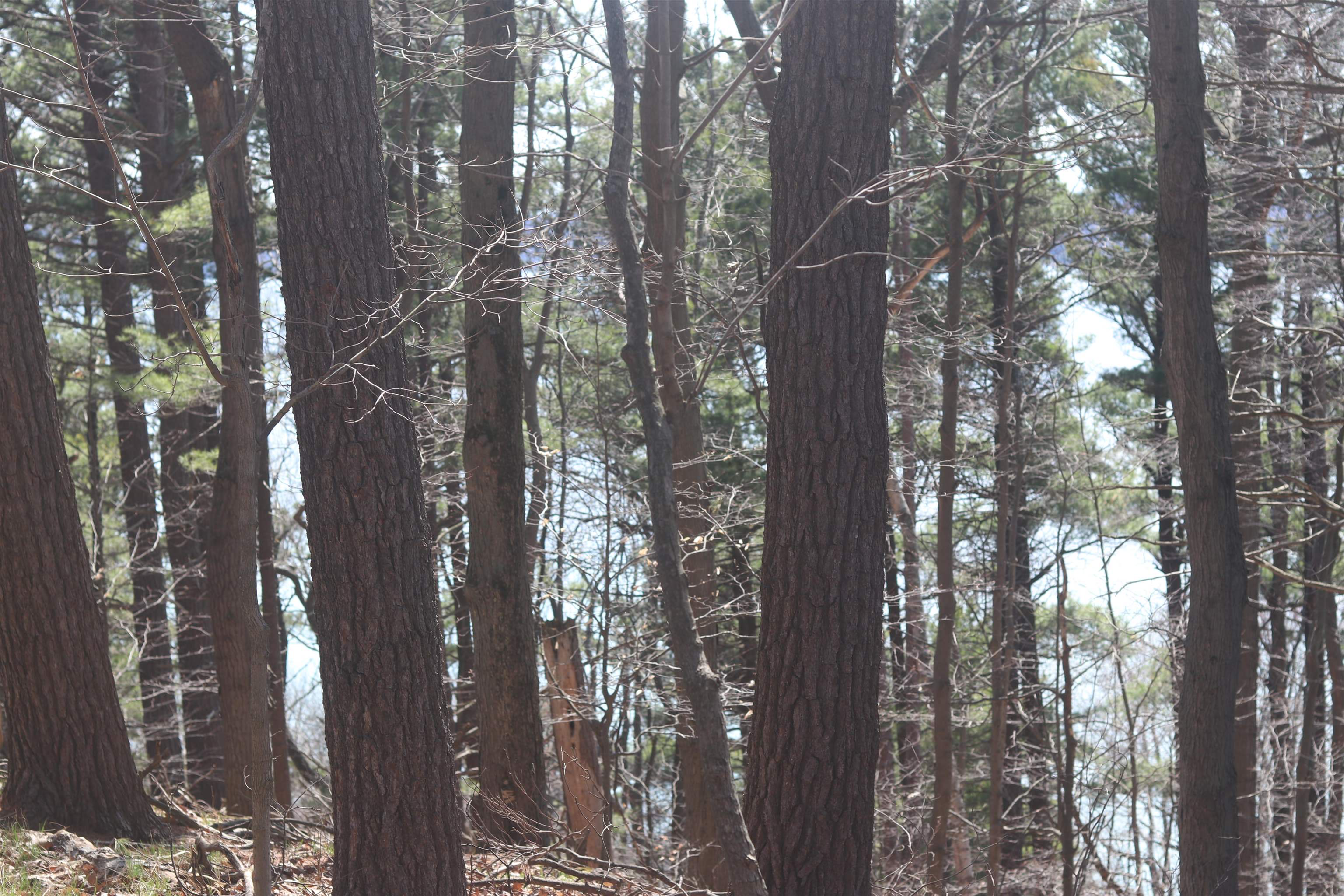Lot 5 Crystal View Commons Property Photo 8