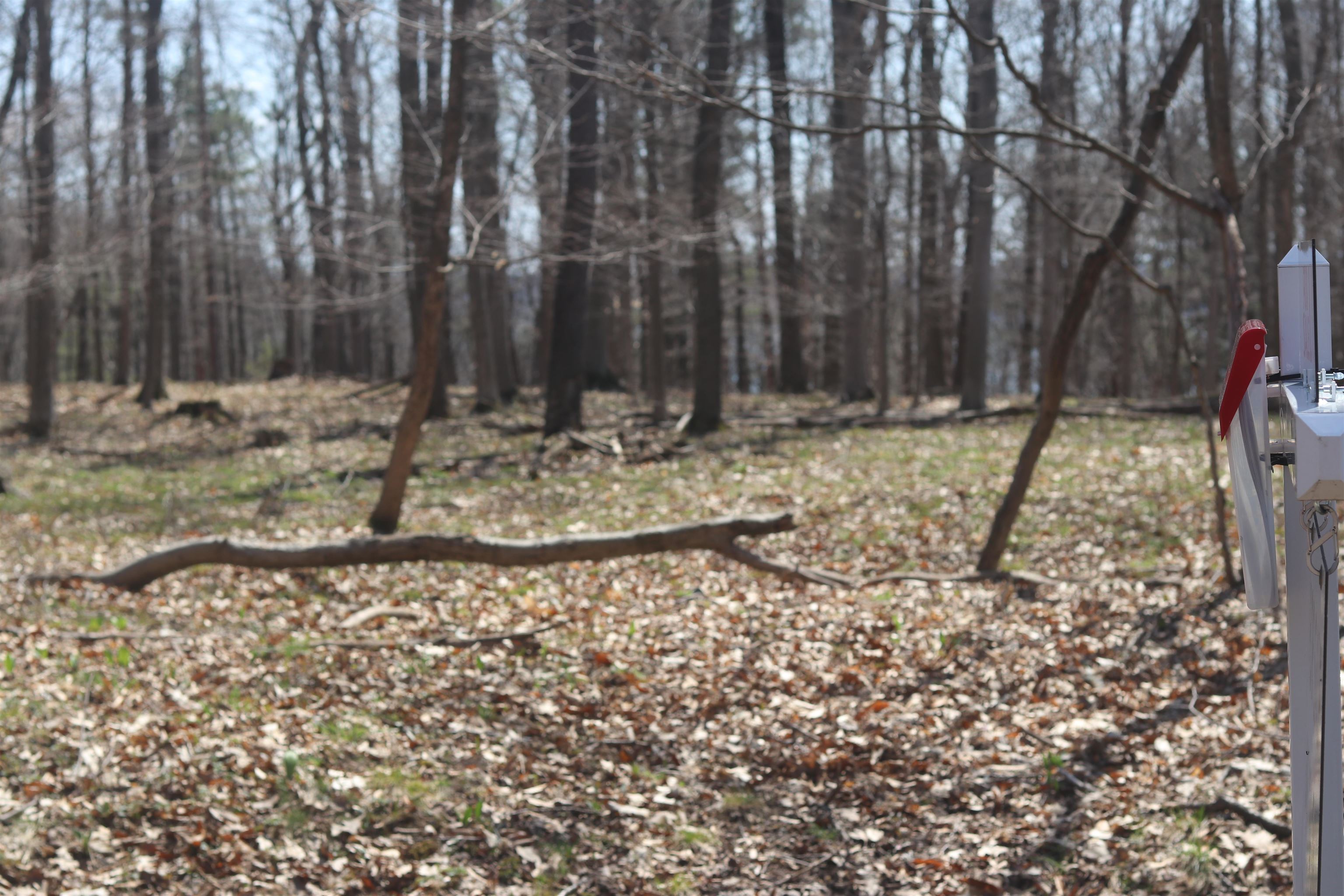 Lot 5 Crystal View Commons Property Photo 13