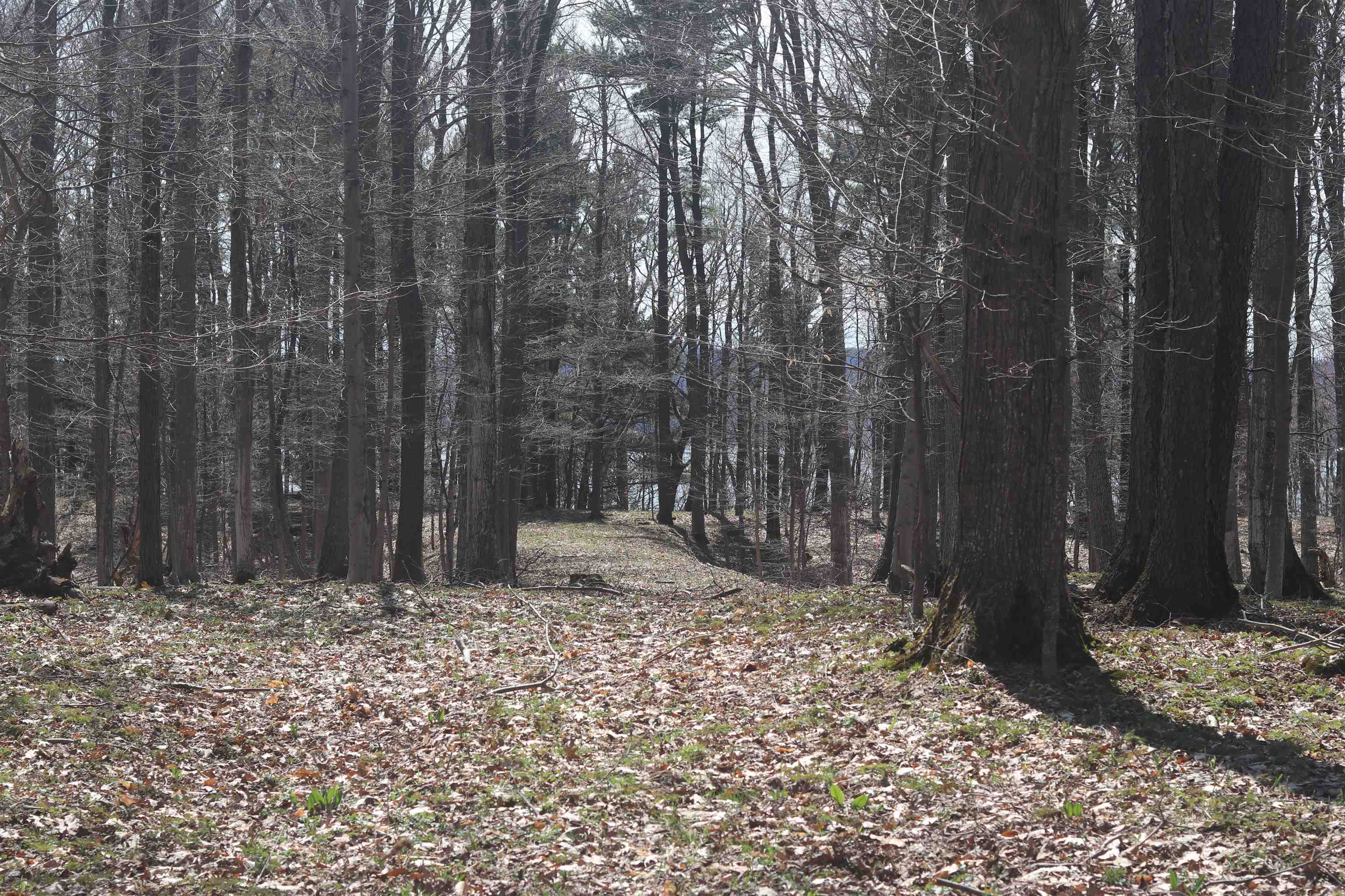 Lot 5 Crystal View Commons Property Photo 14