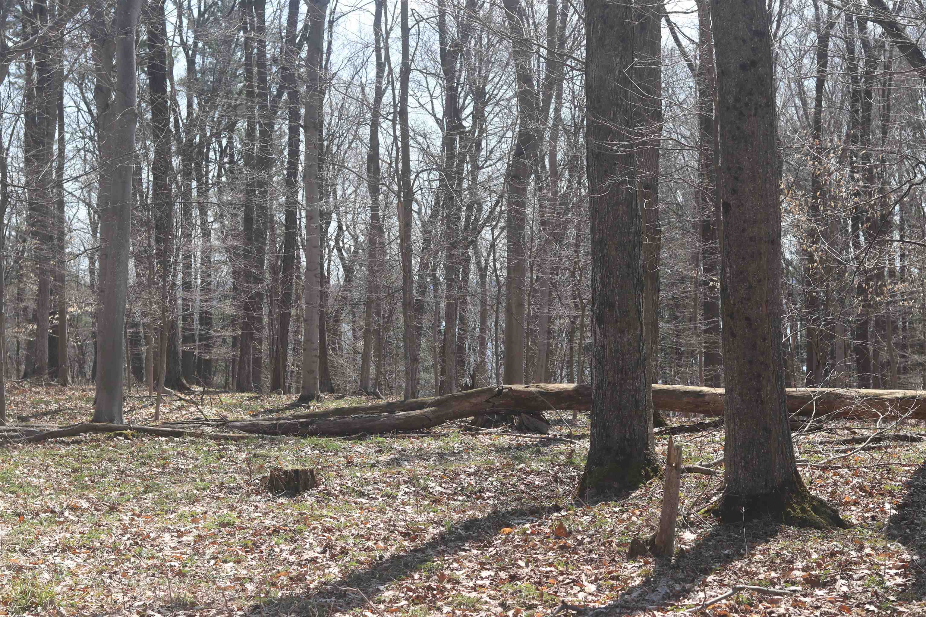 Lot 5 Crystal View Commons Property Photo 15