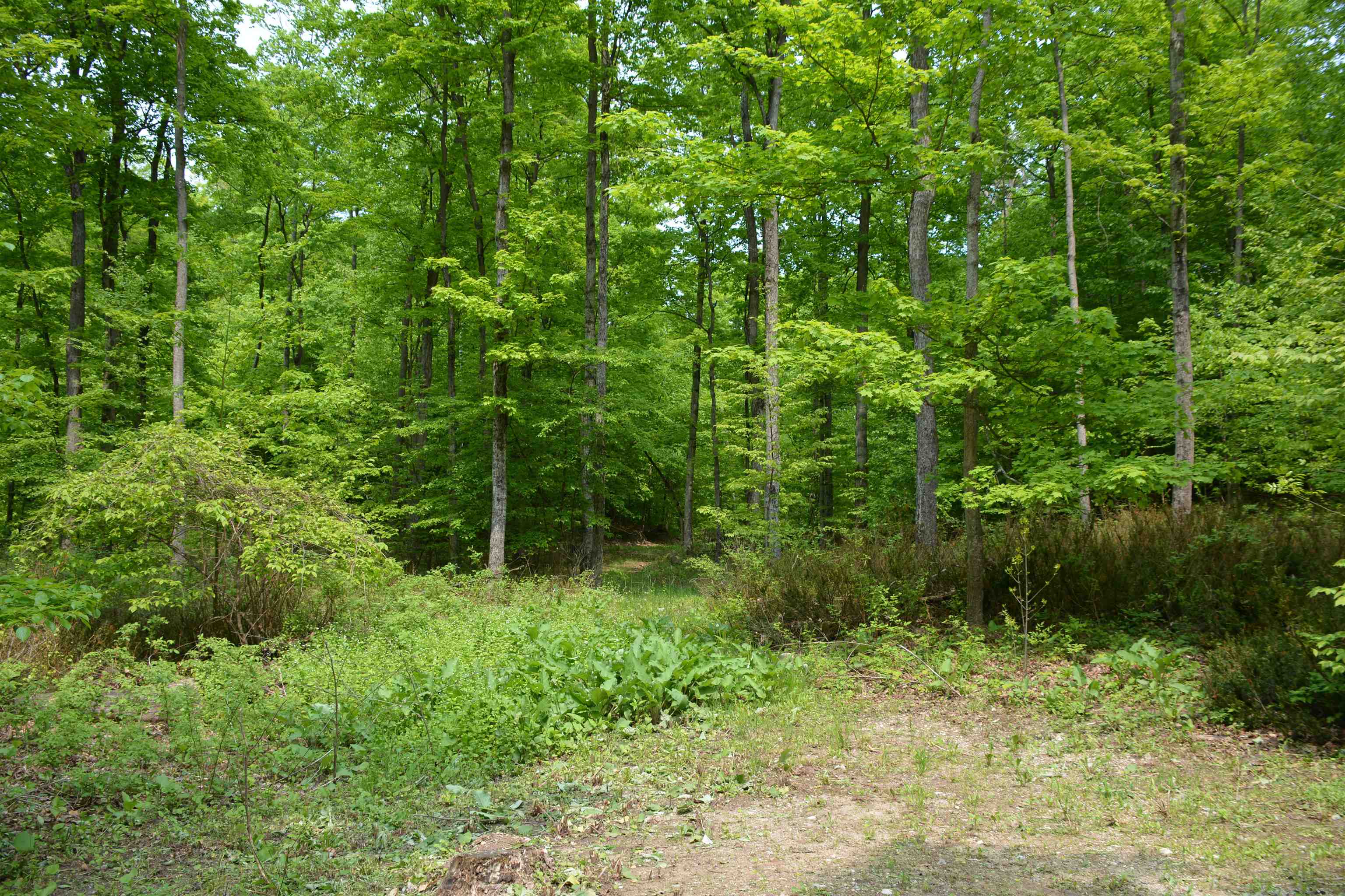 2481 S Schomberg Road Property Photo 45