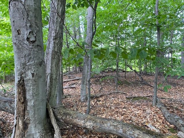 #7 Mooney Way Property Photo 1