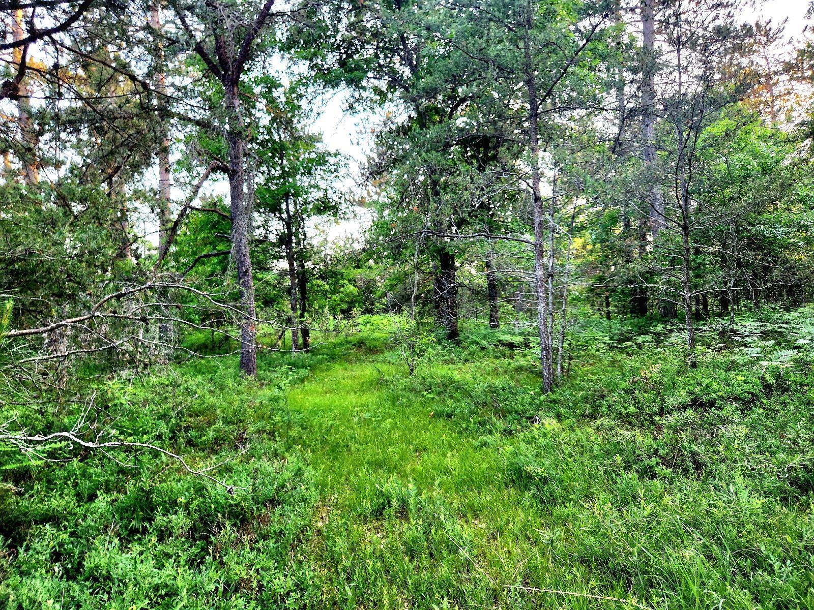 2498 W Five Mile Road Property Photo 29