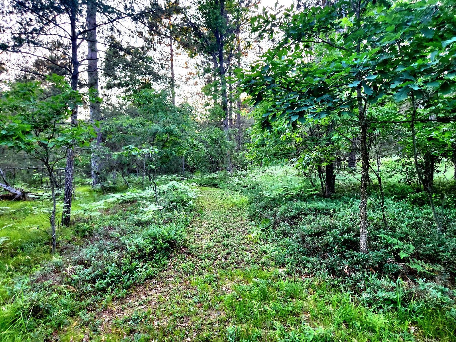 2498 W Five Mile Road Property Photo 30
